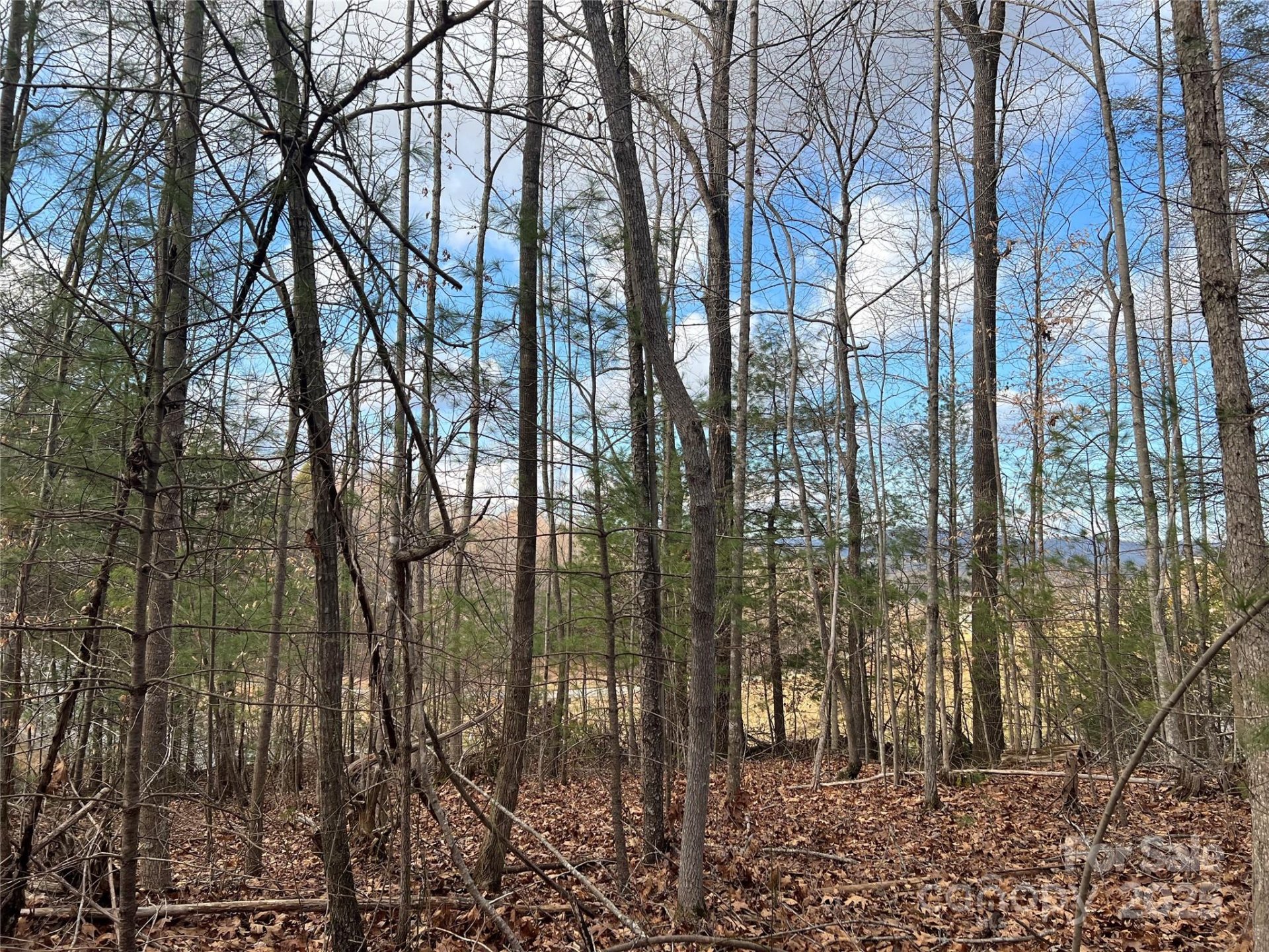 Property image 4 at Lot 79 Huntington Woods Street, Lenoir, NC 28645