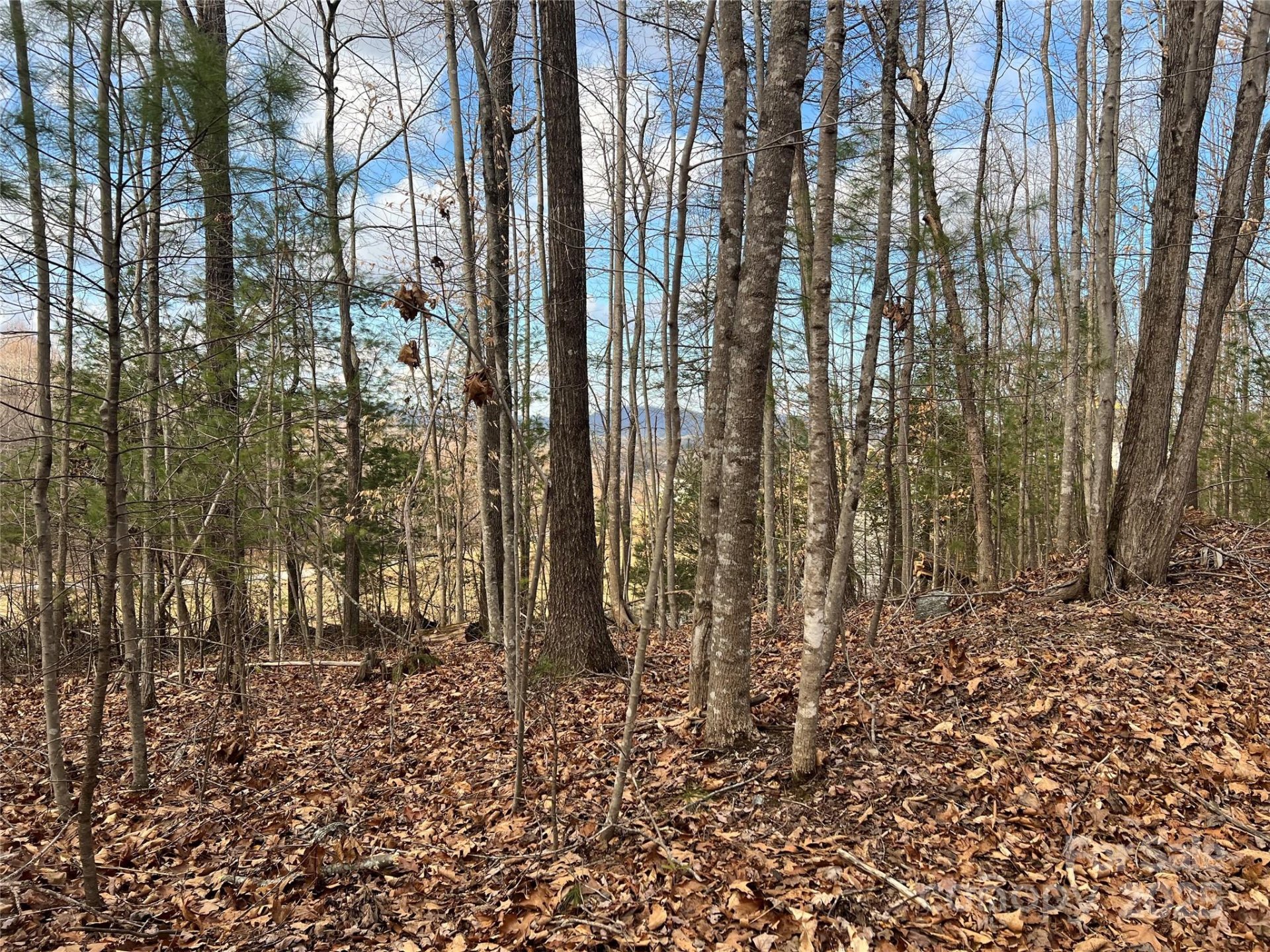 Property image 5 at Lot 79 Huntington Woods Street, Lenoir, NC 28645