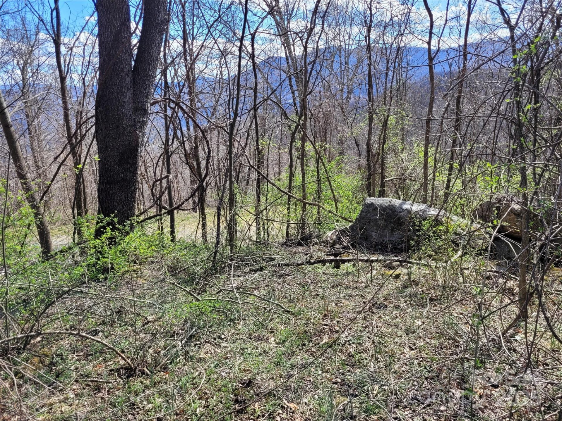 Property at 0 Purple Martin Lane, Waynesville, NC 28785