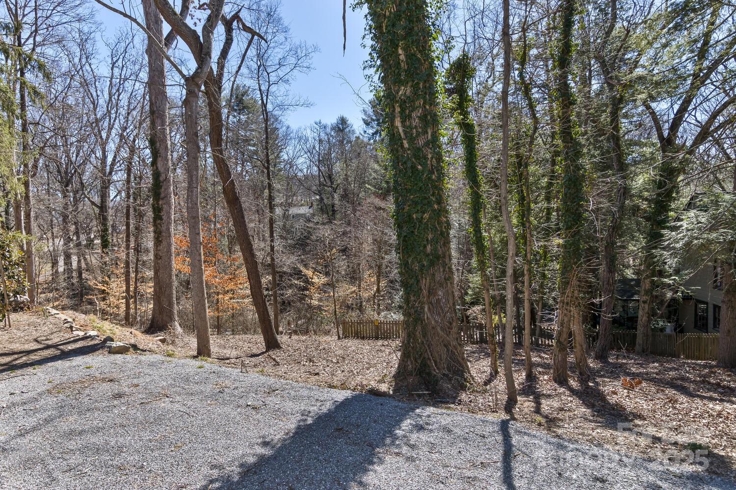 Property image 1 at 9999 Richard Street, Asheville, NC 28803