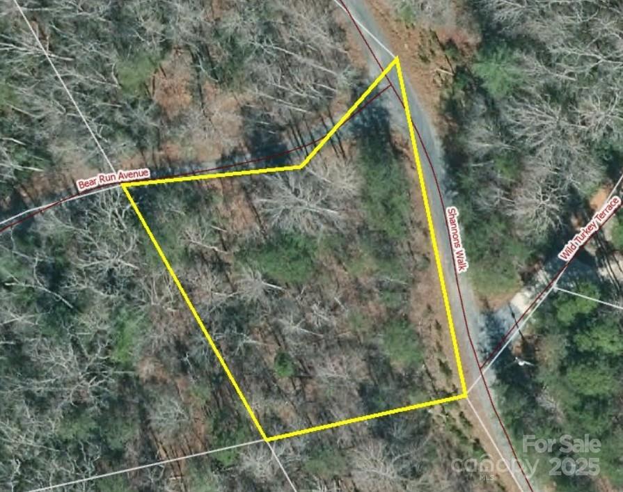 Property image 2 at 0000 Bear Run Avenue, Lake Lure, NC 28746