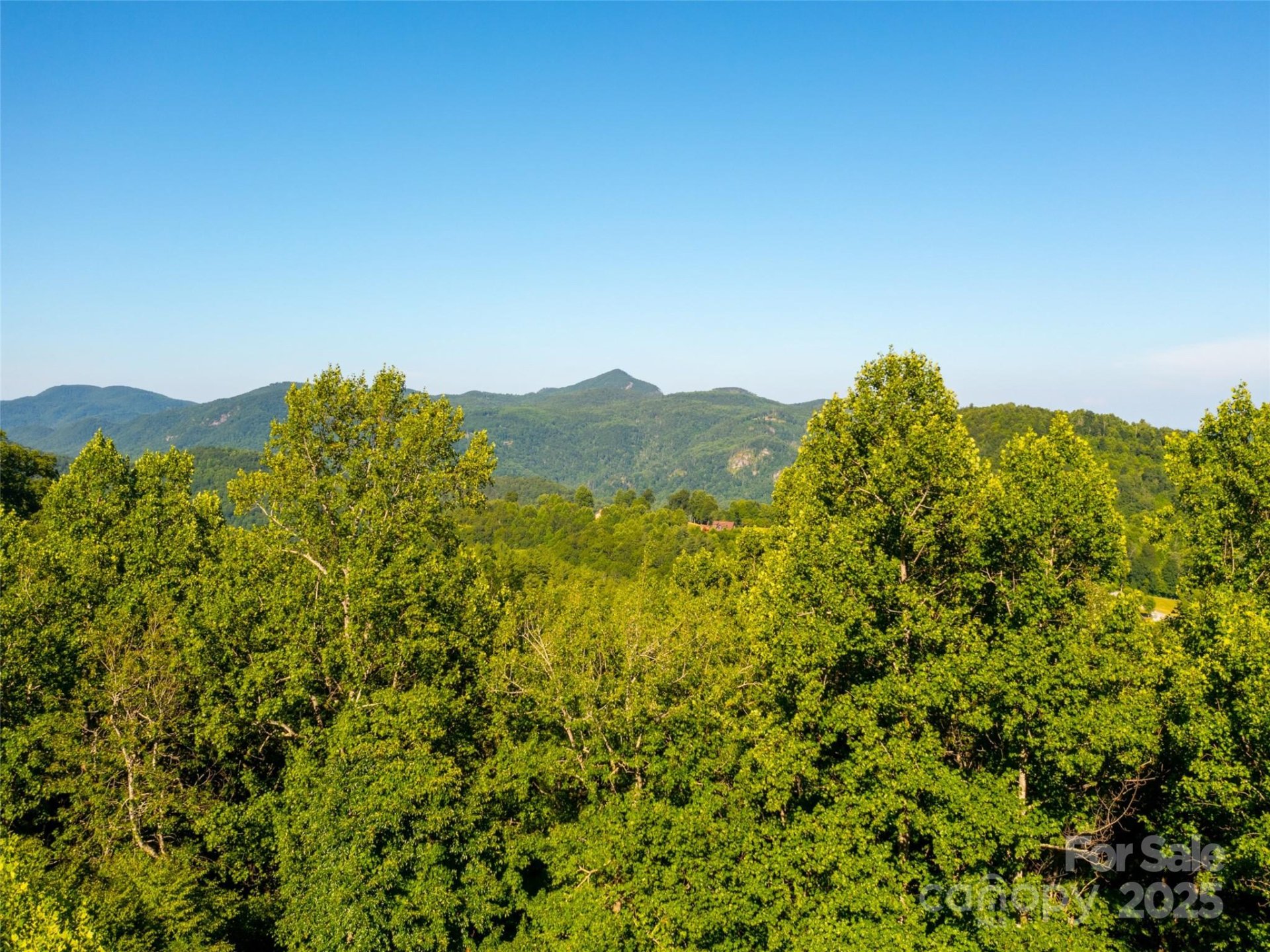 Property image 2 at 811 Grand Oaks Drive, Hendersonville, NC 28792
