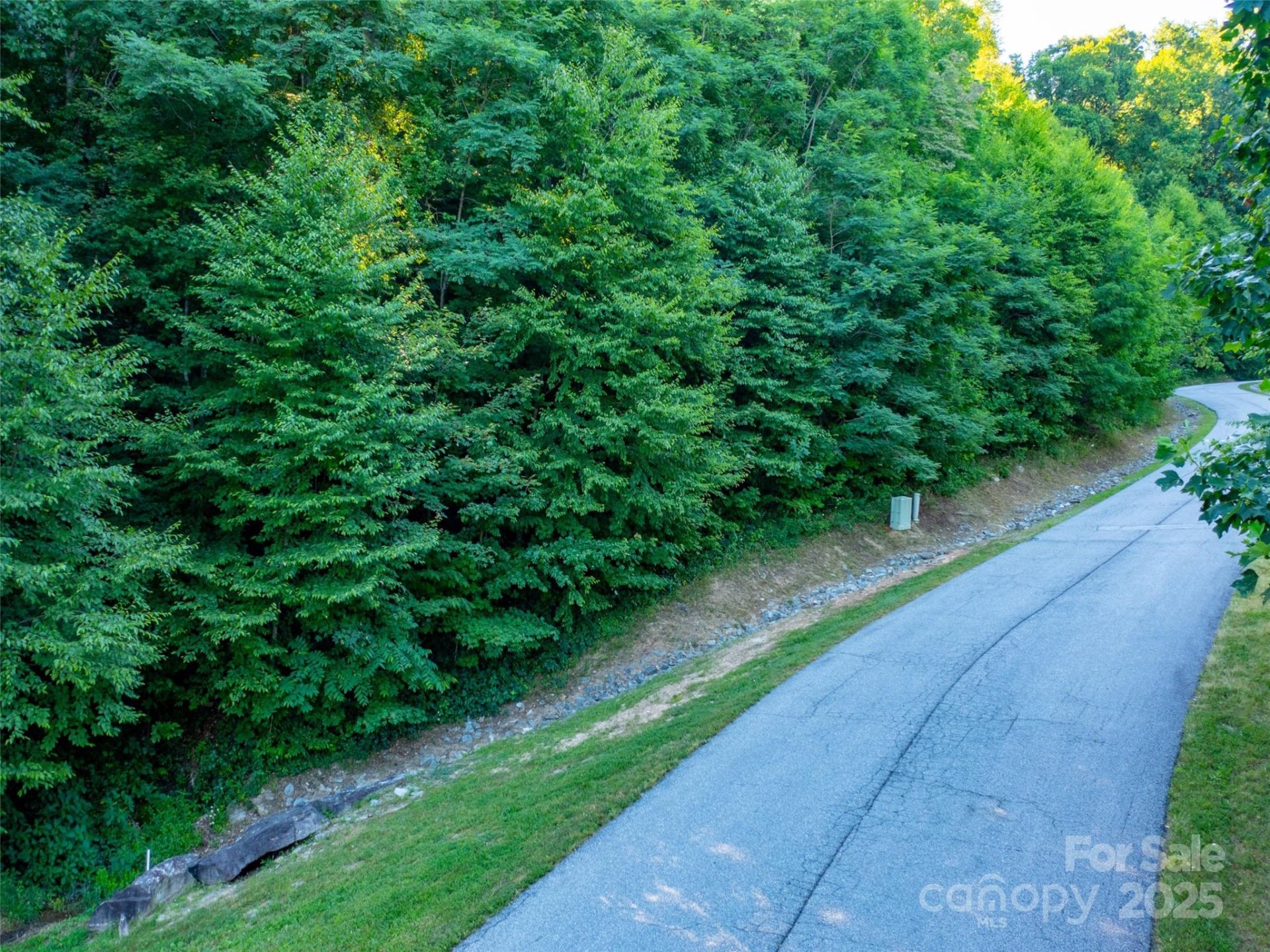 Property image 3 at 811 Grand Oaks Drive, Hendersonville, NC 28792