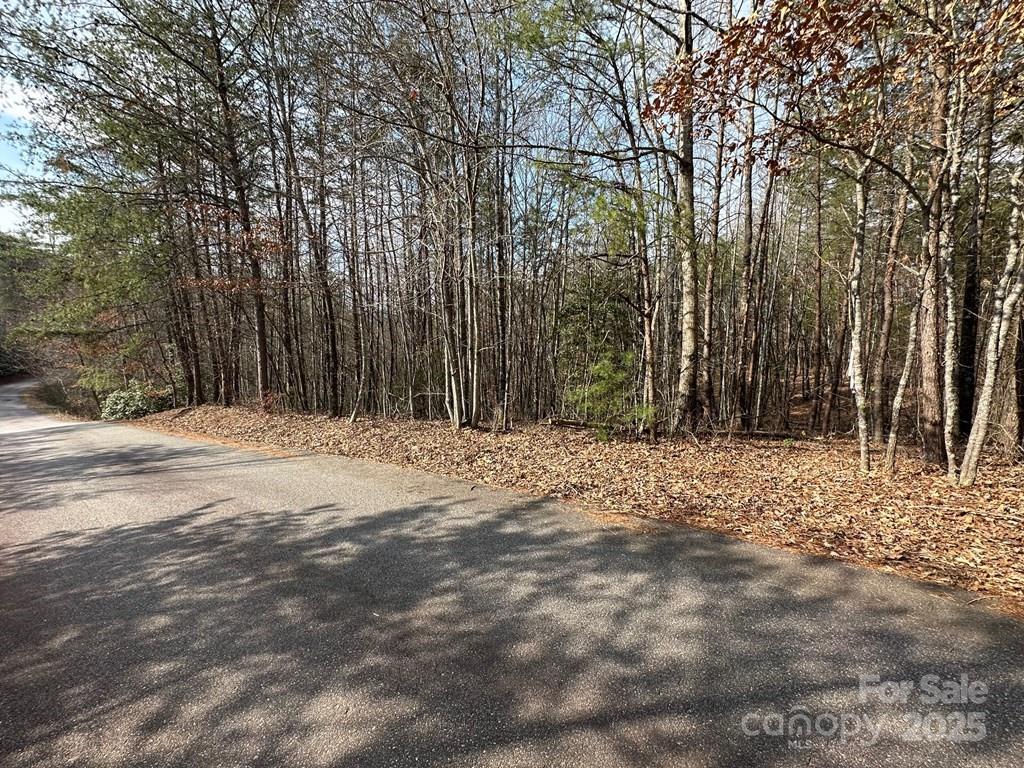 Property image 2 at 0 Sunshine Acres Road, Sylva, NC 28779