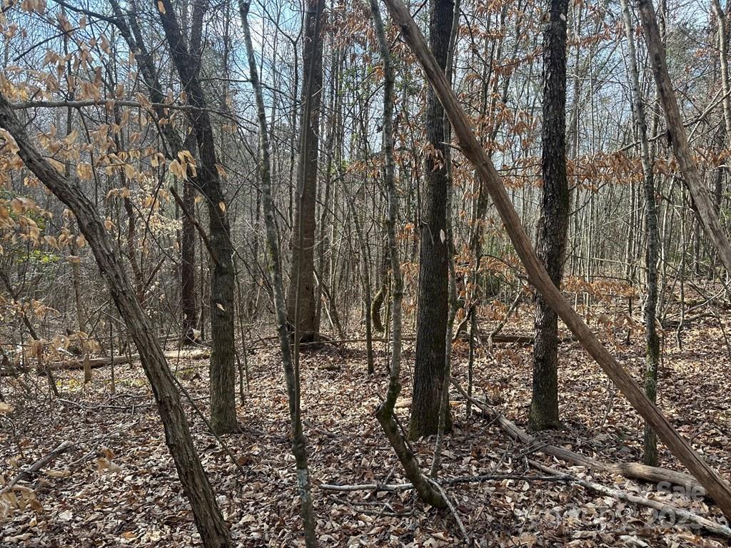 Property image 4 at 0 Sunshine Acres Road, Sylva, NC 28779