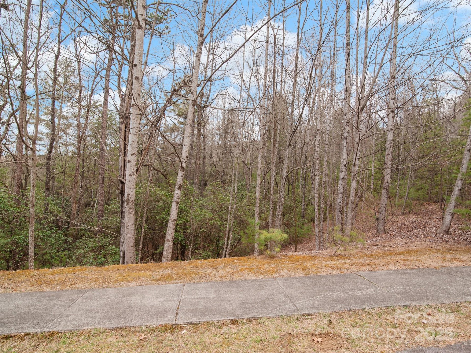 Property image 3 at 0 Springhouse Trail, Brevard, NC 28712