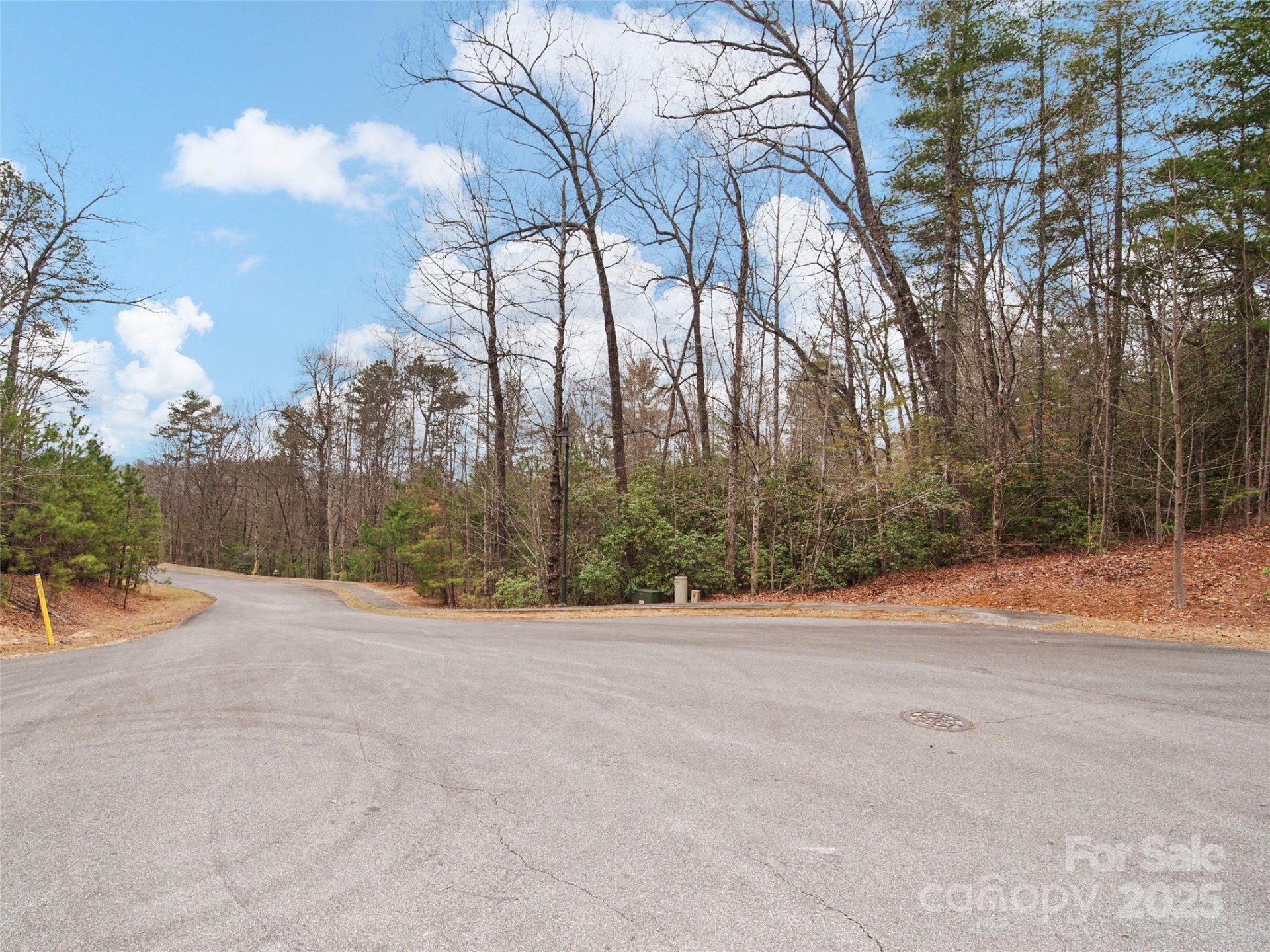 Property image 5 at 0 Springhouse Trail, Brevard, NC 28712