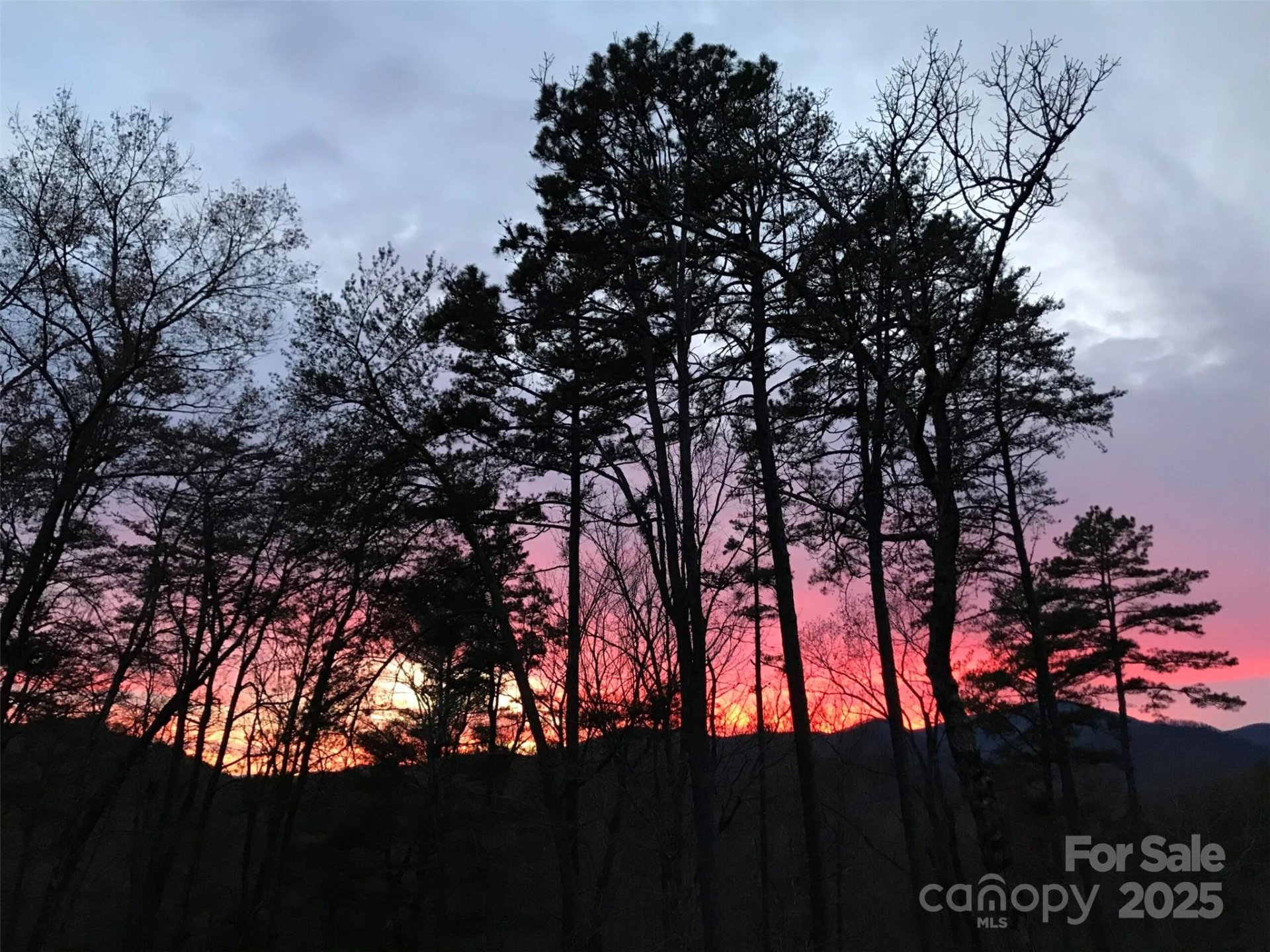 Property image 5 at 000 Raven Boulevard, Lake Lure, NC 28746