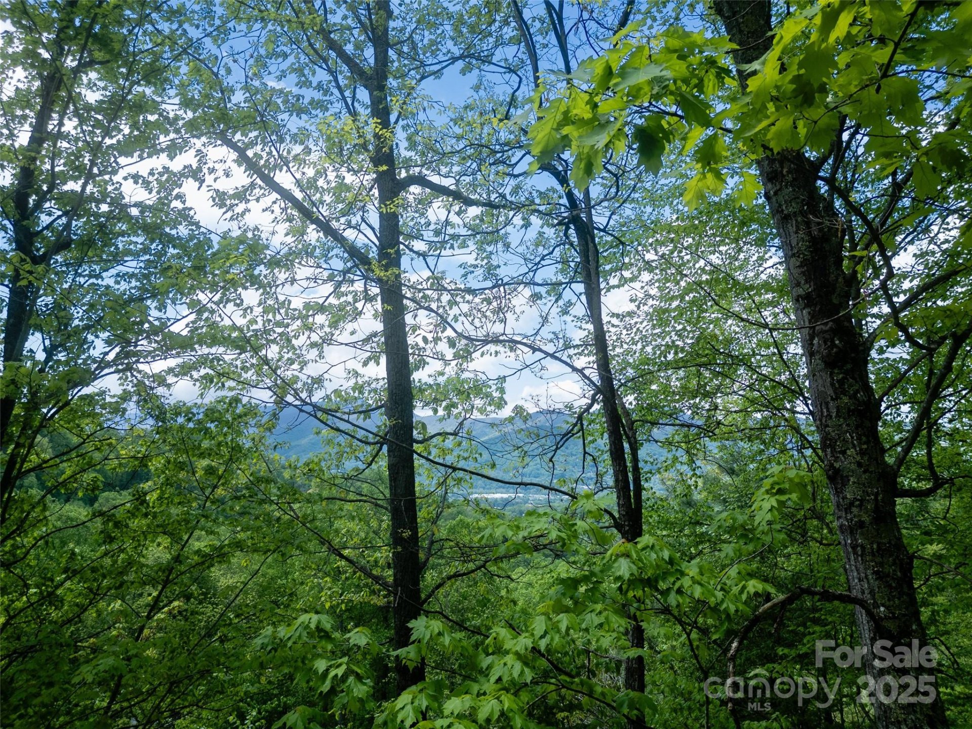 Property image 4 at 00 Sanctuary Drive, Waynesville, NC 28786