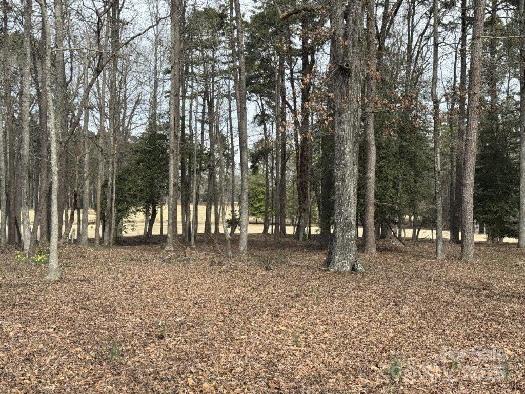Property image 3 at 104 Old North State Lane, New London, NC 28127