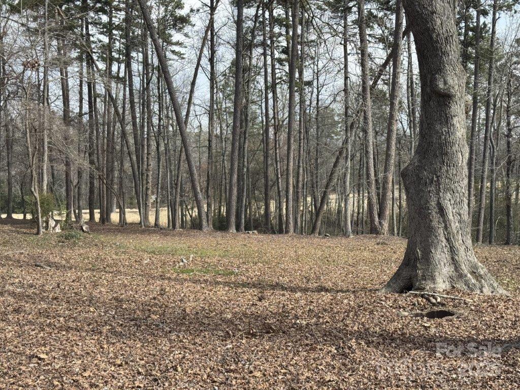 Property image 4 at 104 Old North State Lane, New London, NC 28127