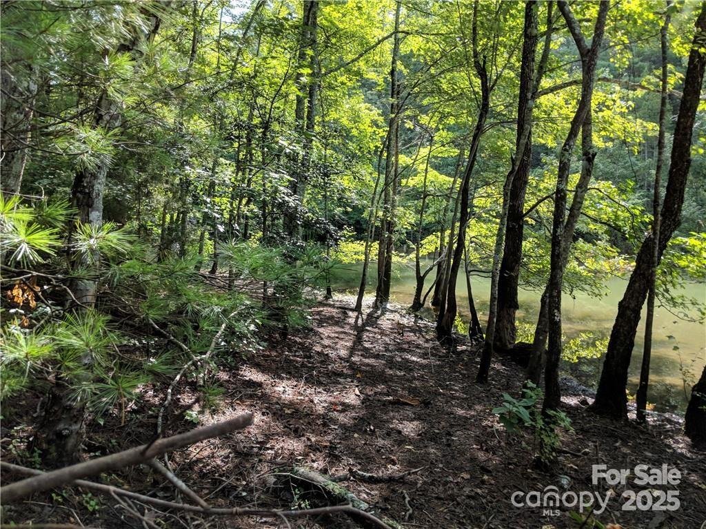 Property image 4 at 3100 E Moonlight Place, Morganton, NC 28655