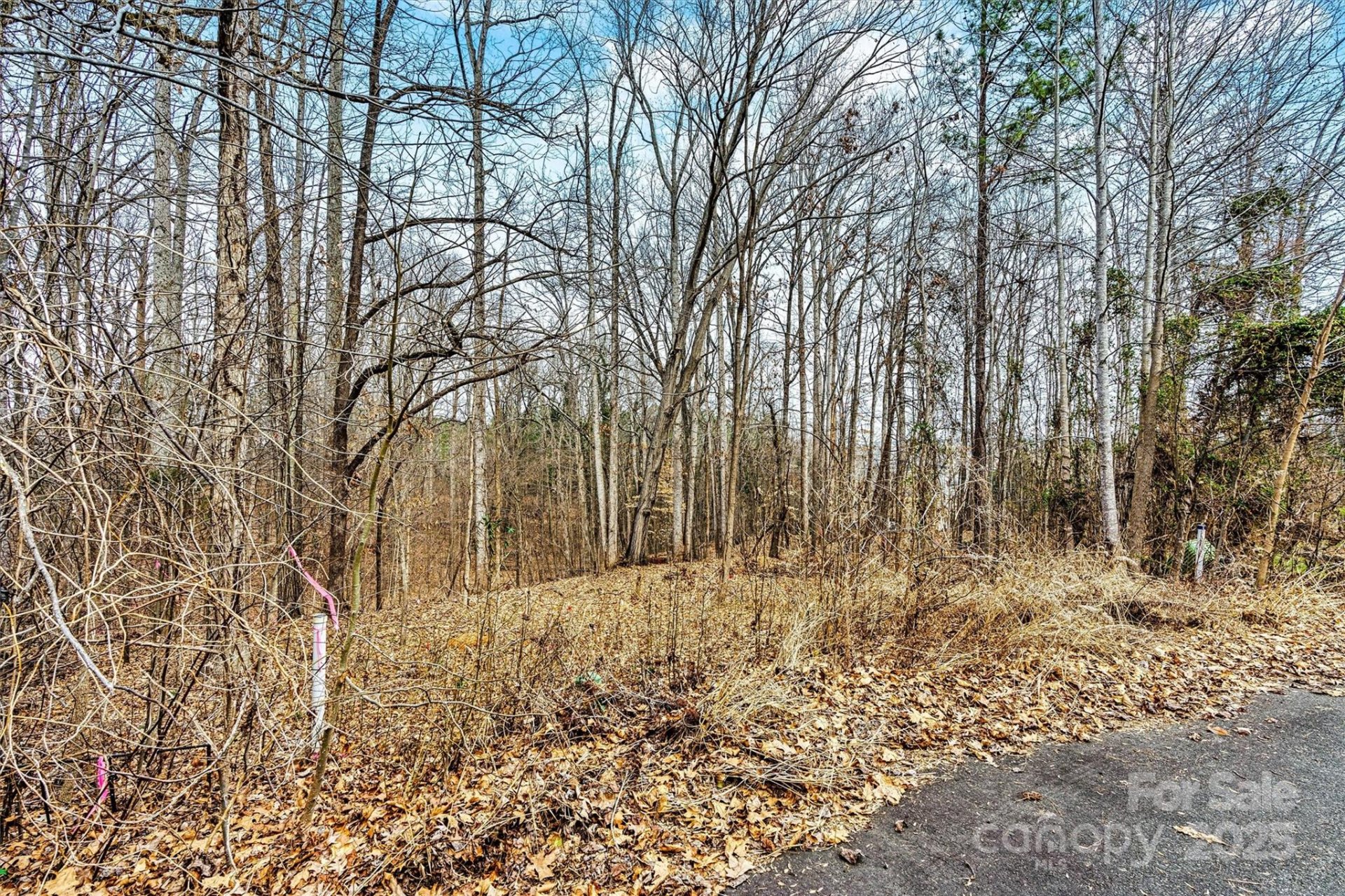 Property image 3 at 128 Audrey Lane, Mooresville, NC 28117