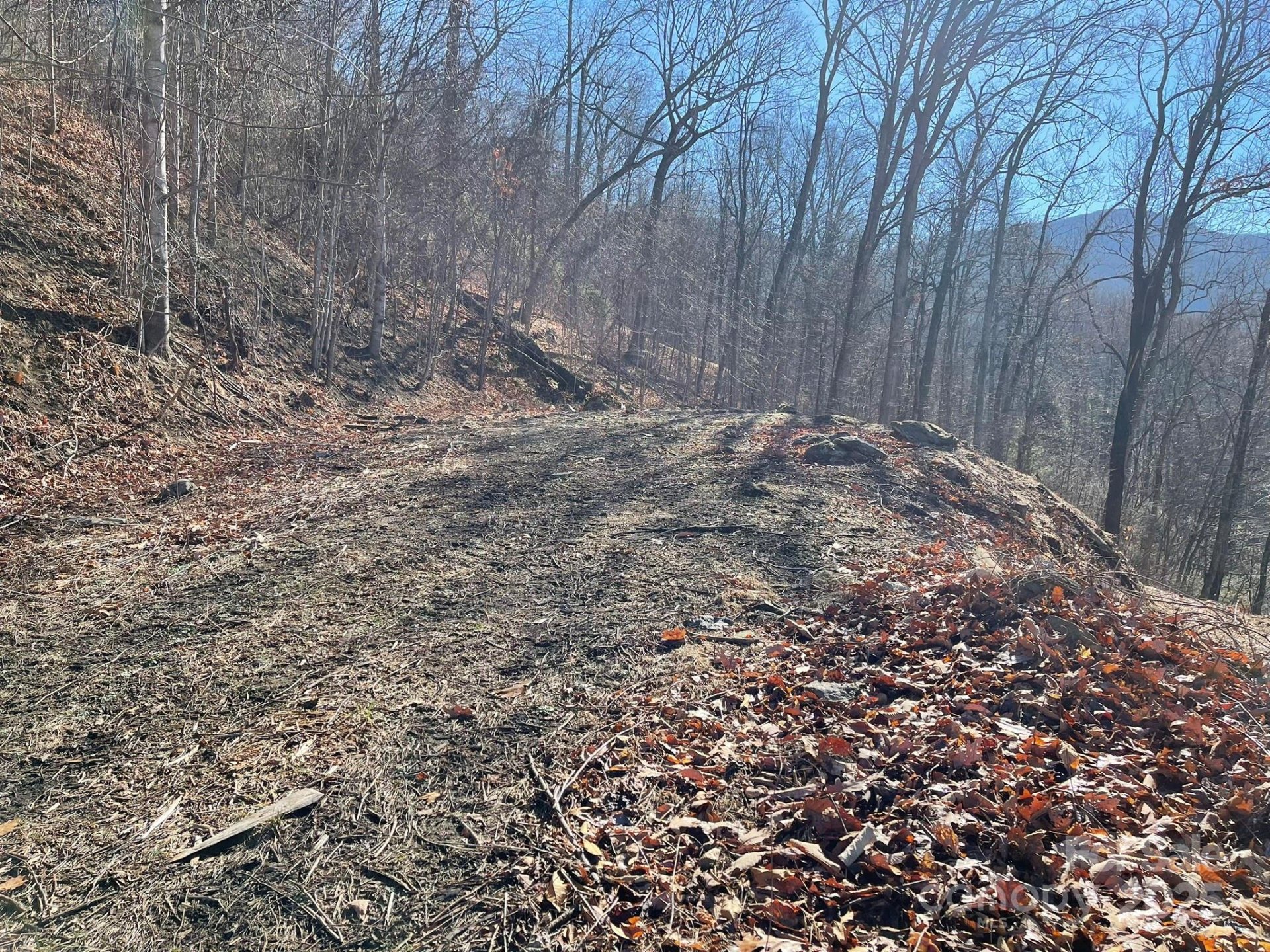 Property image 4 at 362 Equestrian Drive, Waynesville, NC 28786