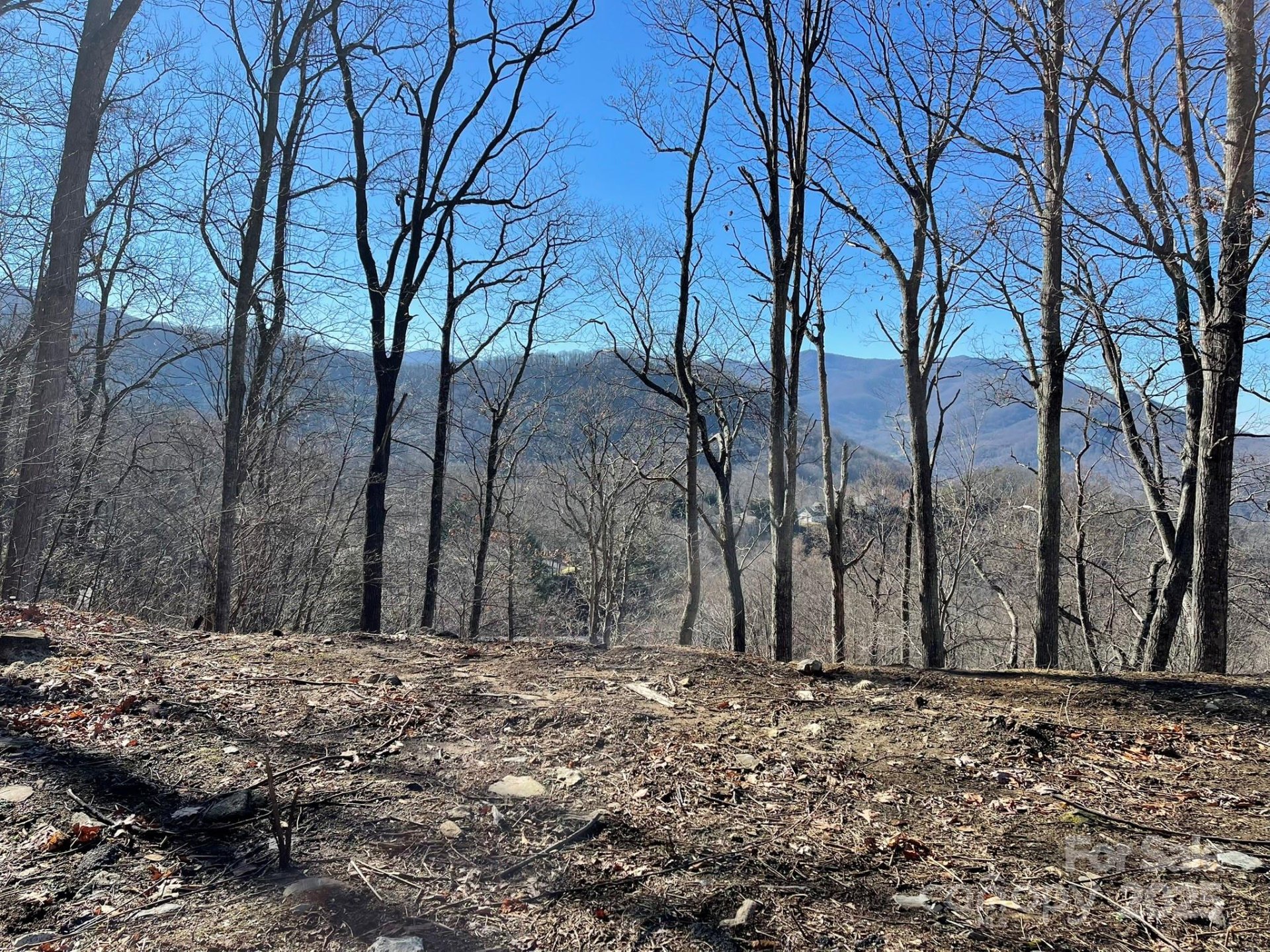 Property image 5 at 362 Equestrian Drive, Waynesville, NC 28786