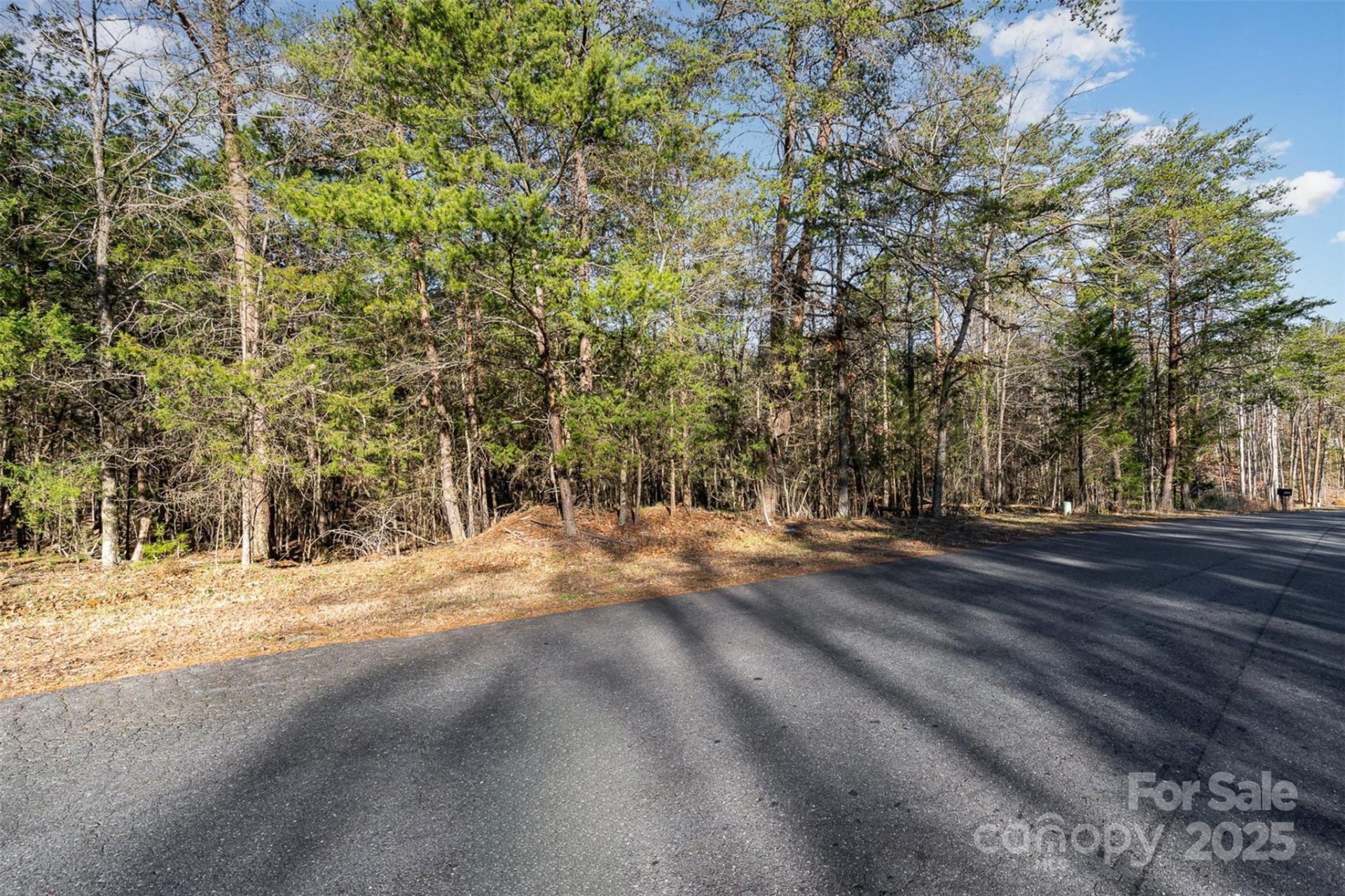 Property image 4 at 17308 Green Hill Road, Charlotte, NC 28278