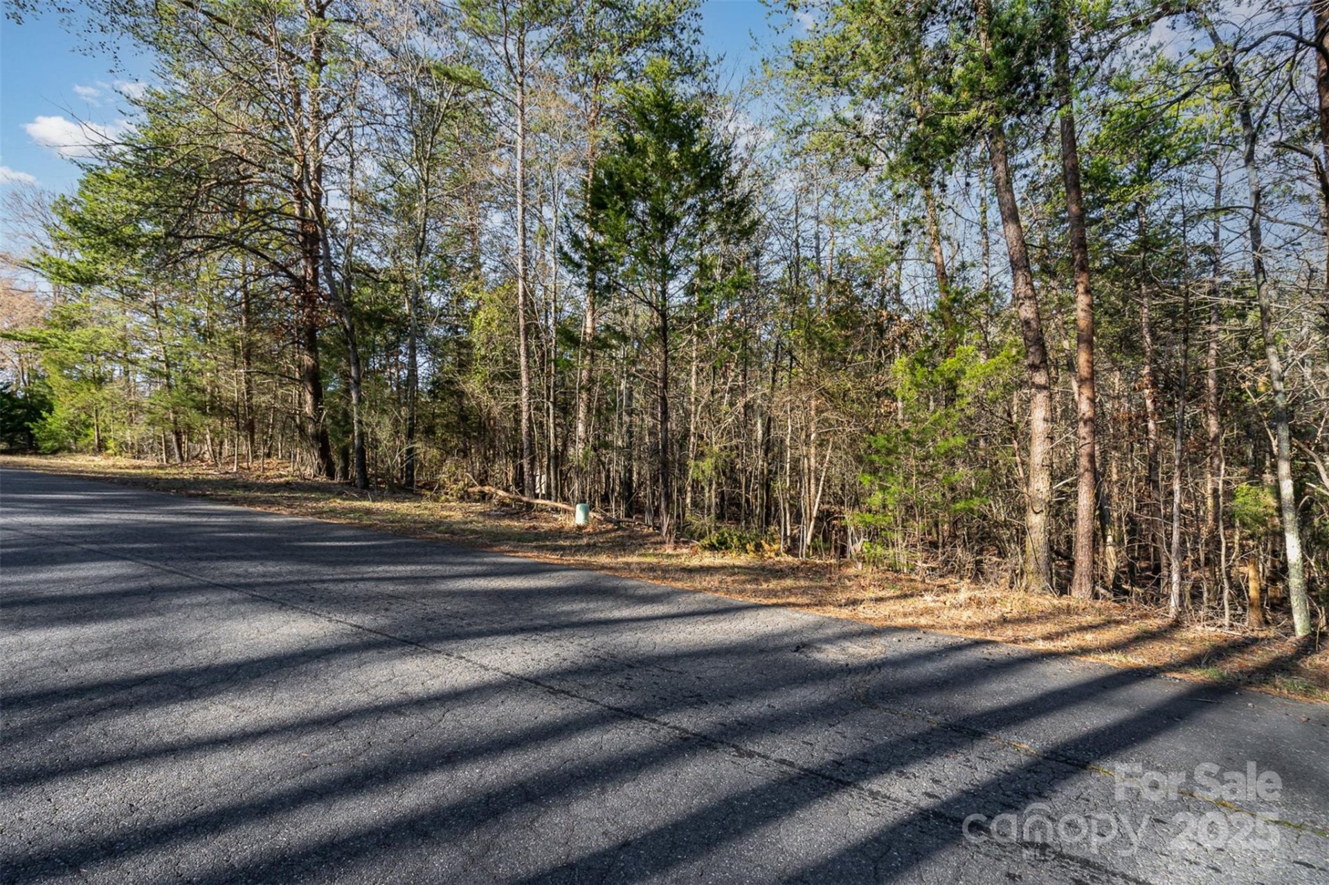 Property image 5 at 17308 Green Hill Road, Charlotte, NC 28278