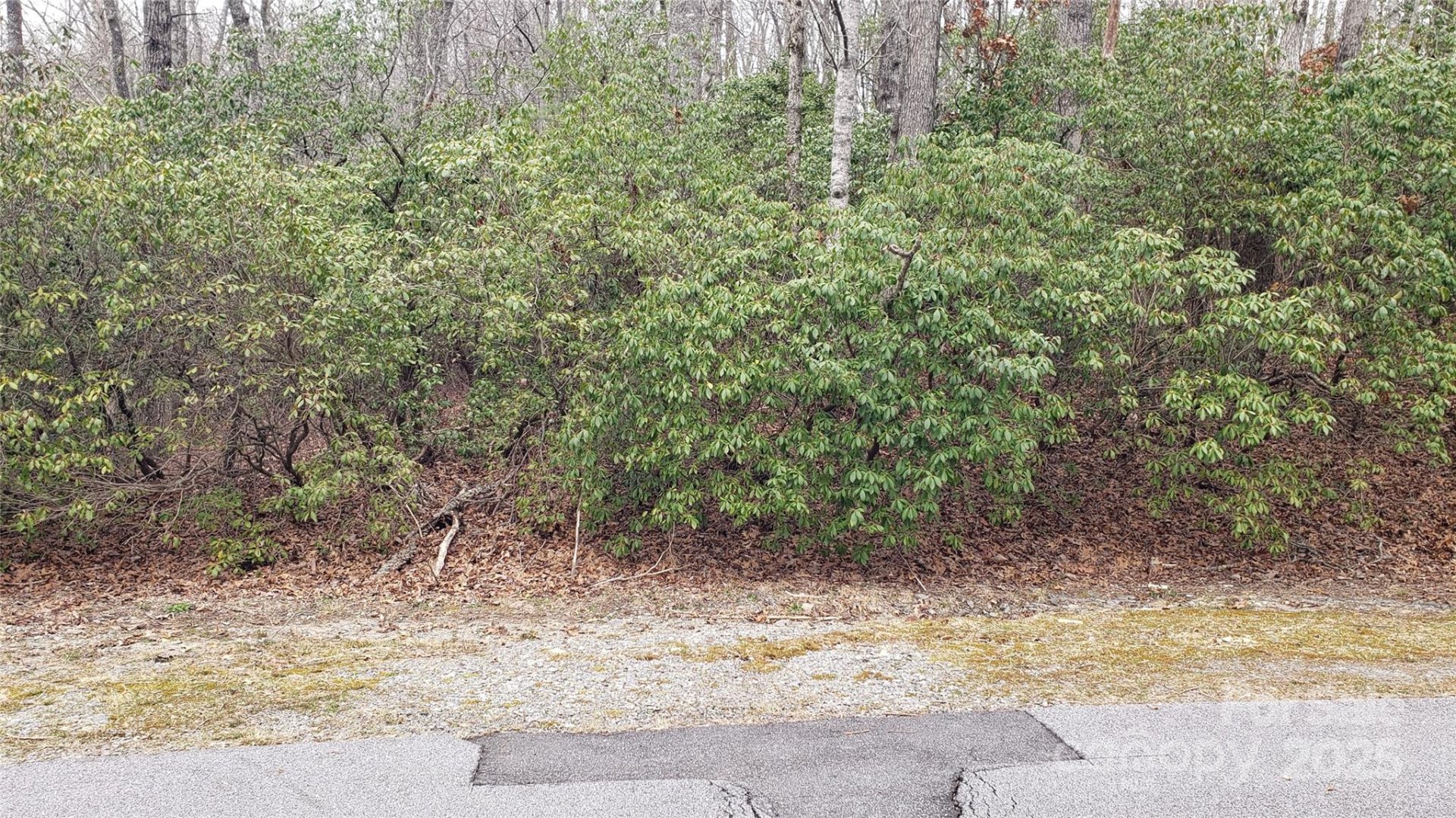 Property image 1 at 9999 Gagama Court, Brevard, NC 28712