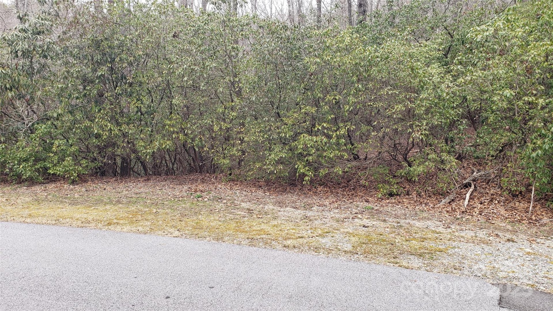 Property image 2 at 9999 Gagama Court, Brevard, NC 28712