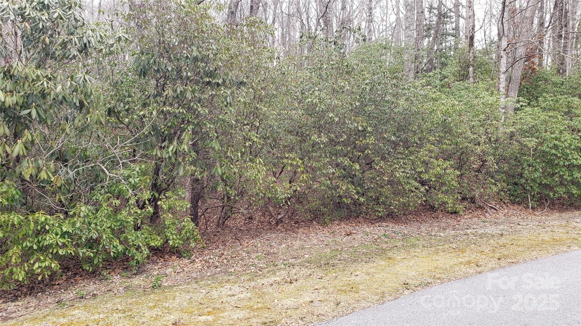 Property image 3 at 9999 Gagama Court, Brevard, NC 28712