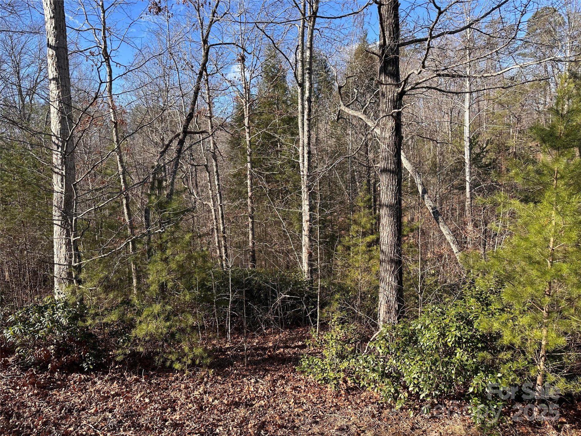 0 Rock Ledge Drive