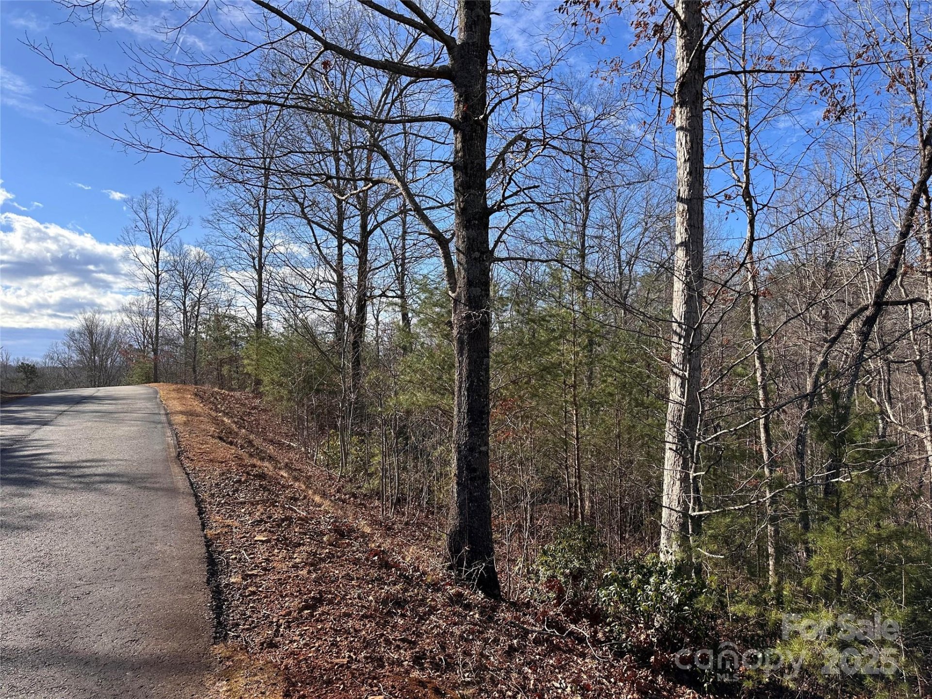Property image 2 at 0 Rock Ledge Drive, Lake Lure, NC 28746