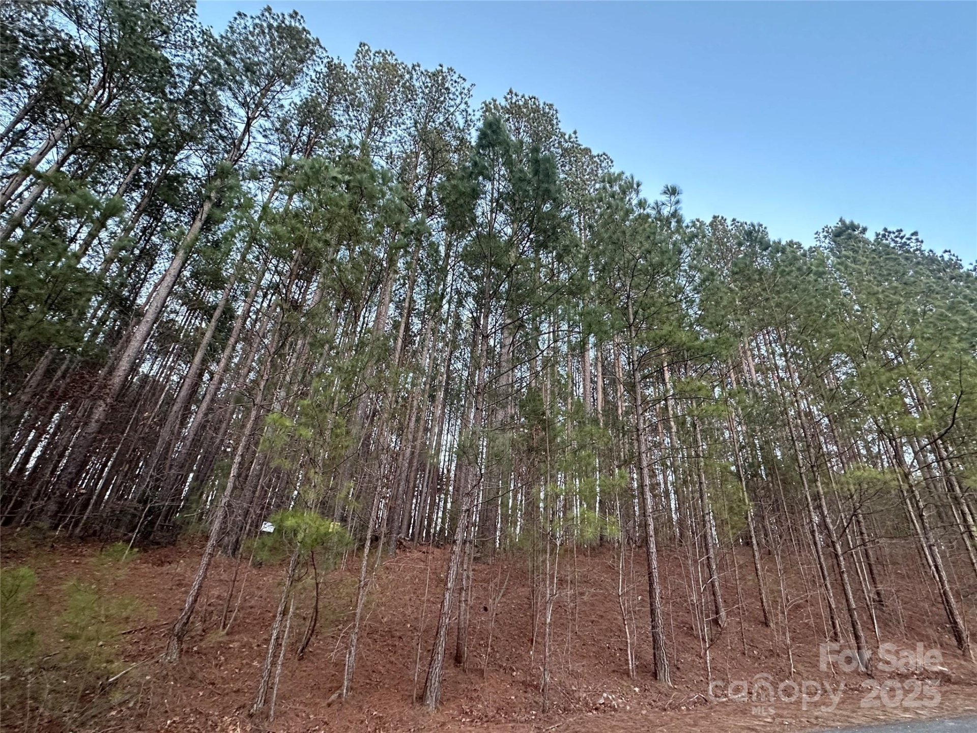 Property image 2 at 193 Windingwood Drive, Statesville, NC 28677