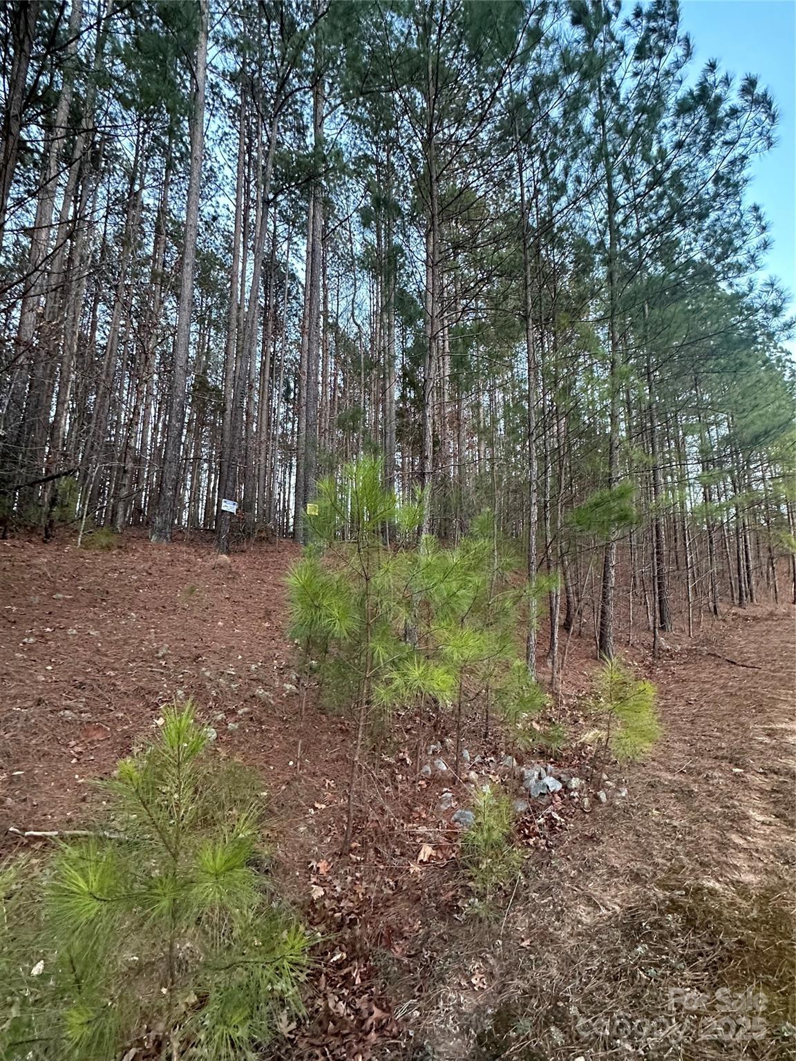 Property image 3 at 193 Windingwood Drive, Statesville, NC 28677