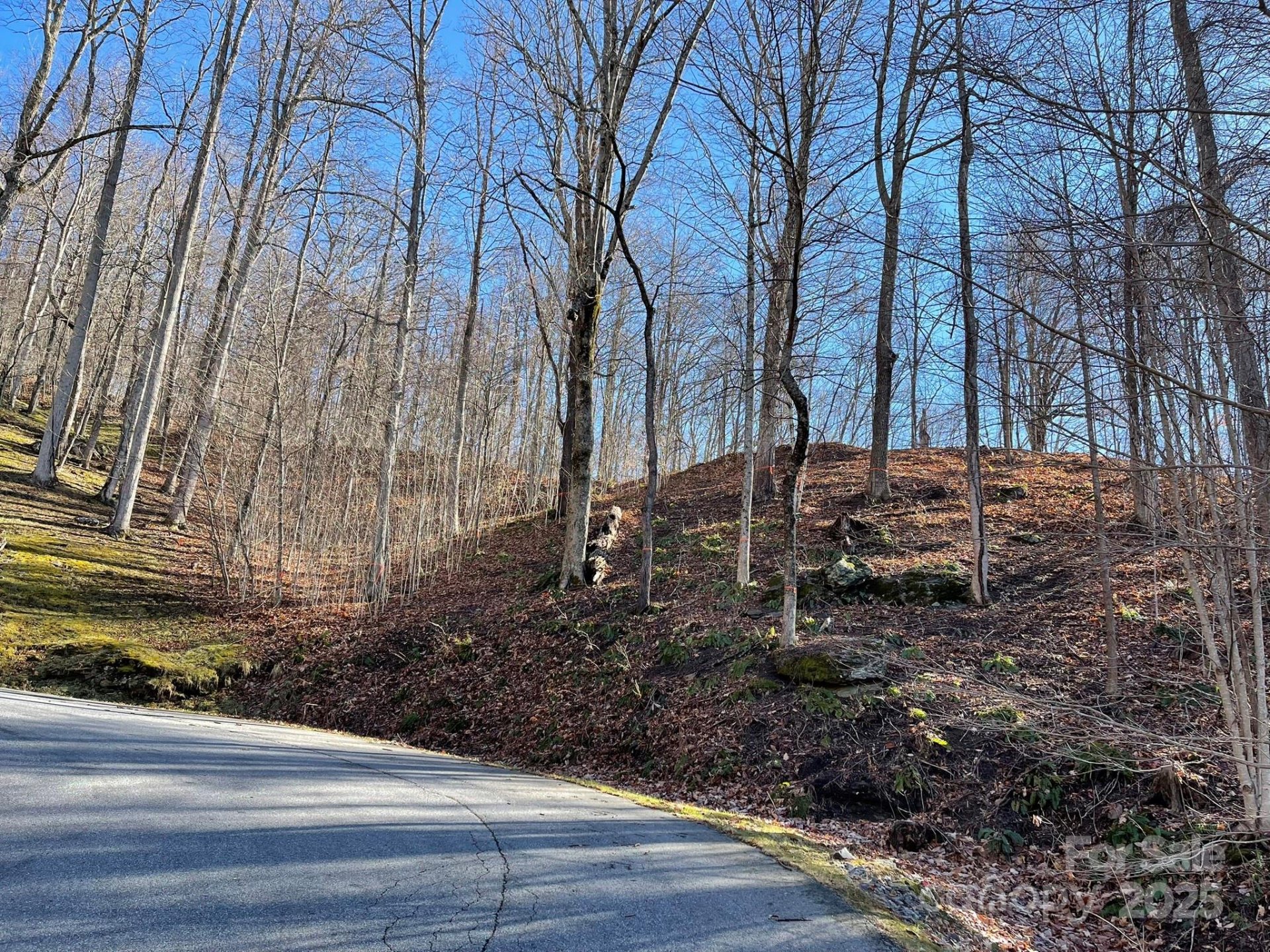 Property image 2 at 00 Weatherwatch Lane, Waynesville, NC 28786