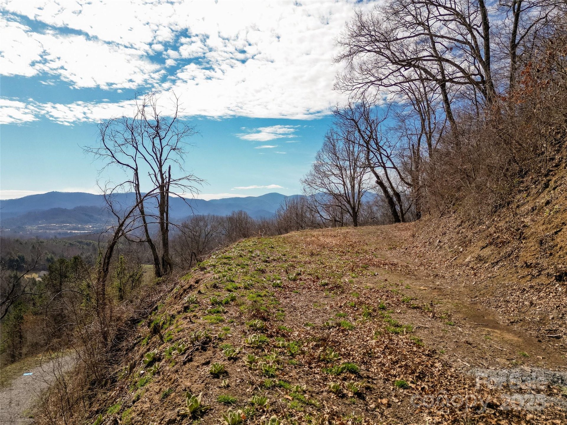 Property image 3 at 00 Rimesdale Way, Waynesville, NC 28785
