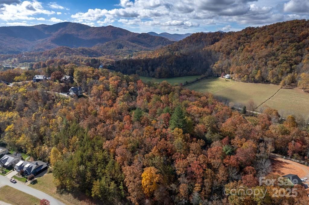Property image 3 at 181 Lavender Way, Cullowhee, NC 28723