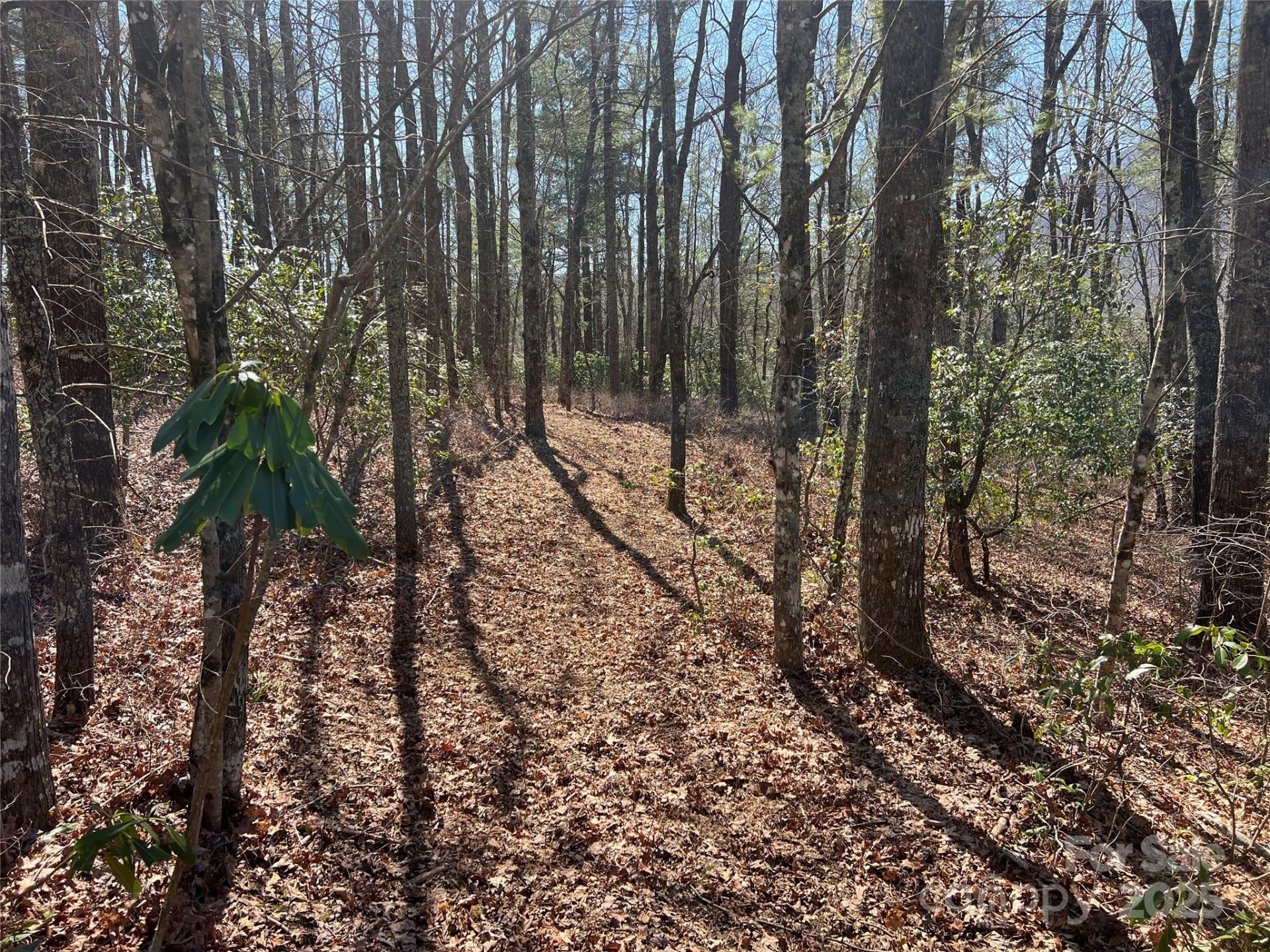 Tbd Panther Ridge Road, Lake Toxaway