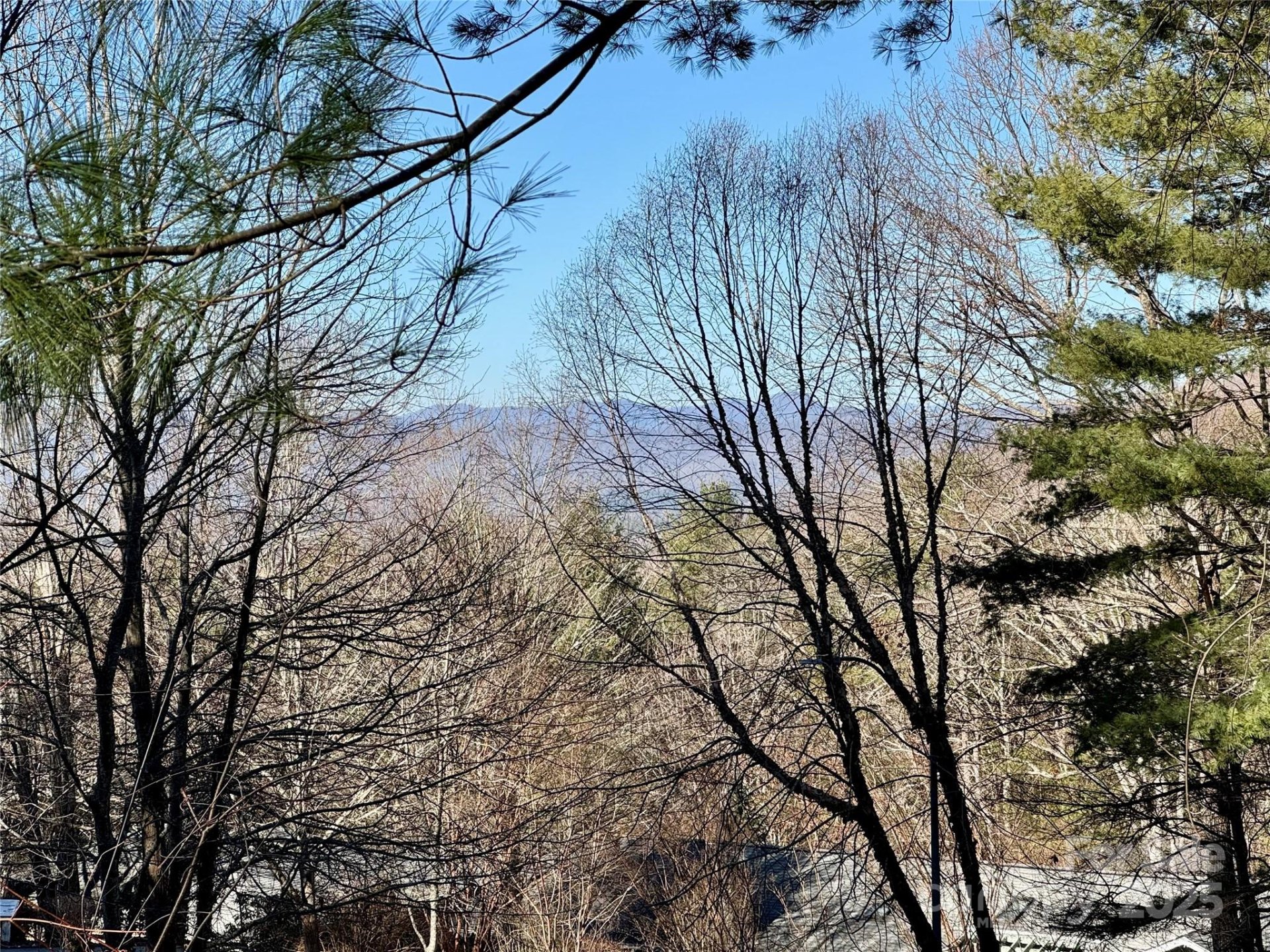 Property image 3 at 15 Elmwood Lane, Asheville, NC 28803