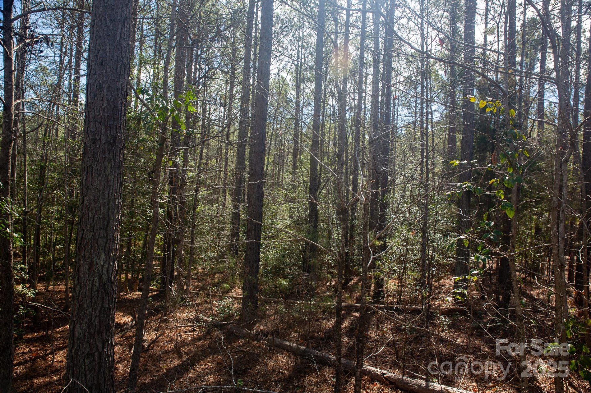 Property image 2 at 4155 Persimmon Road, Lancaster, SC 29720
