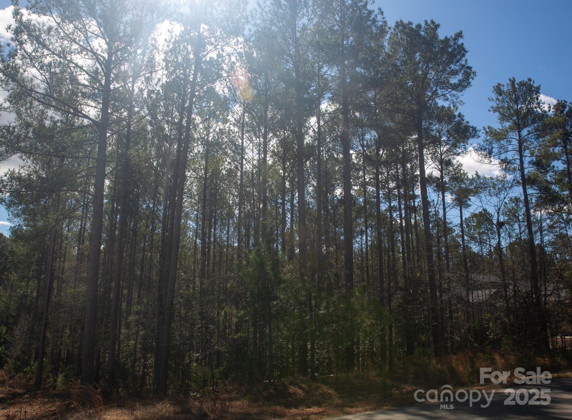Property image 4 at 4155 Persimmon Road, Lancaster, SC 29720
