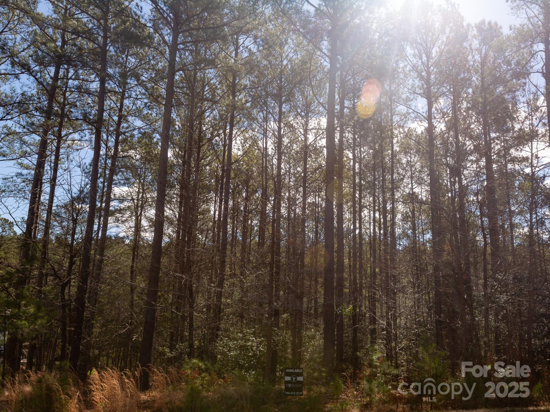 Property image 5 at 4155 Persimmon Road, Lancaster, SC 29720