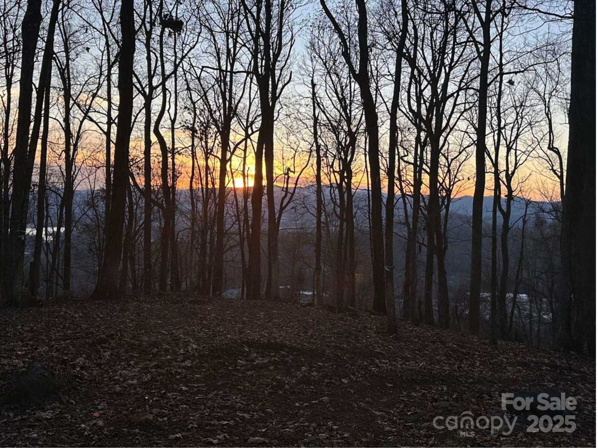 Property image 1 at 99999 Old Forest Drive, Asheville, NC 28803