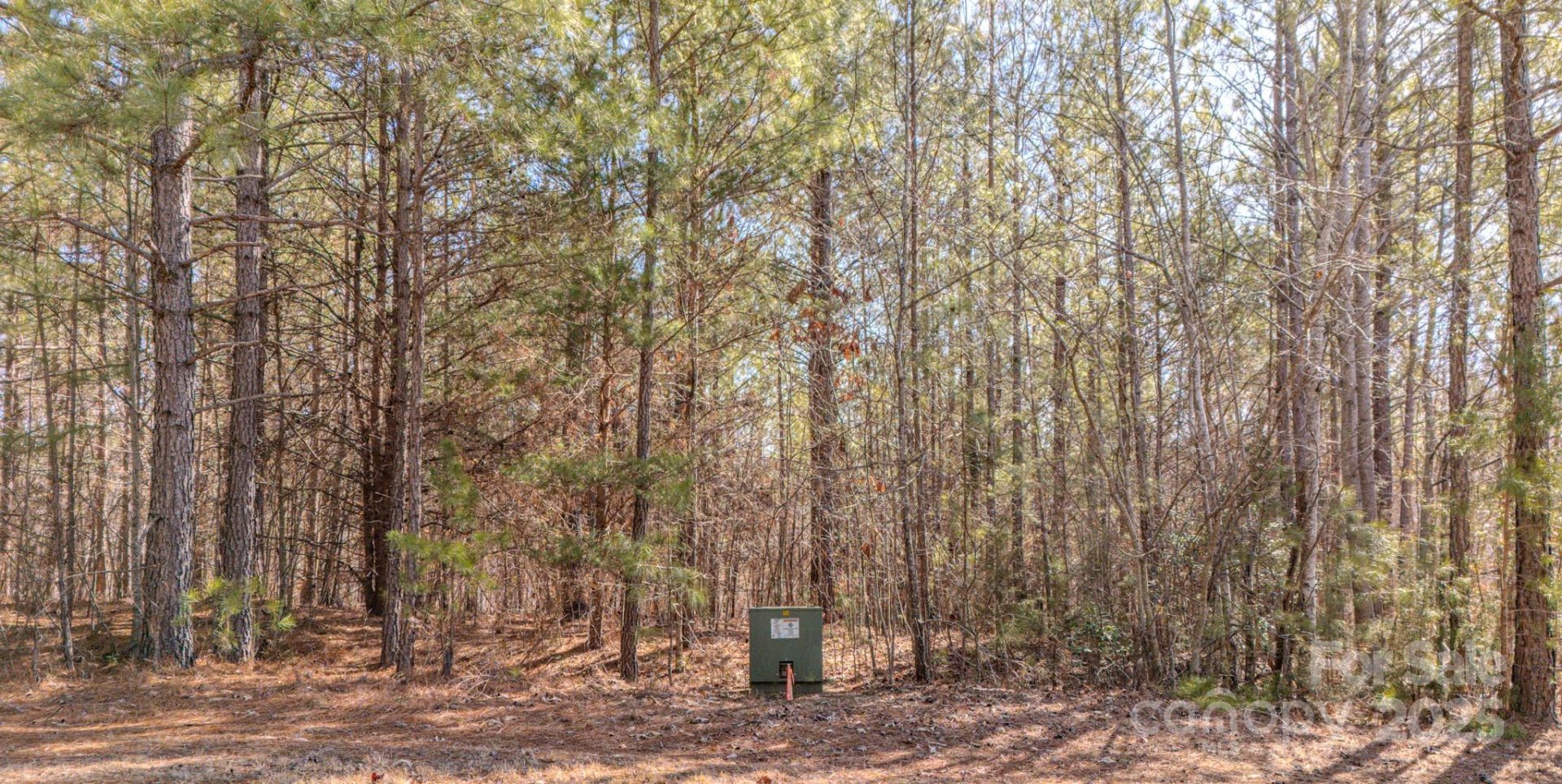 Property image 4 at 0 Cross Creek Drive, Rutherfordton, NC 28139