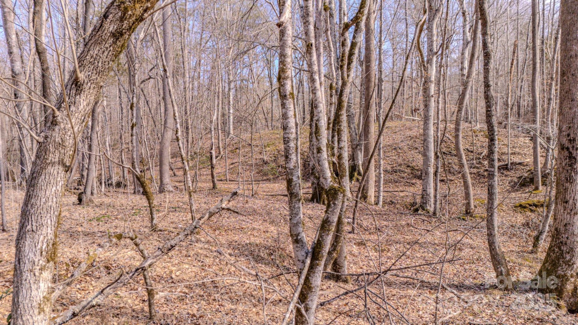 Property image 5 at 0 Cross Creek Drive, Rutherfordton, NC 28139