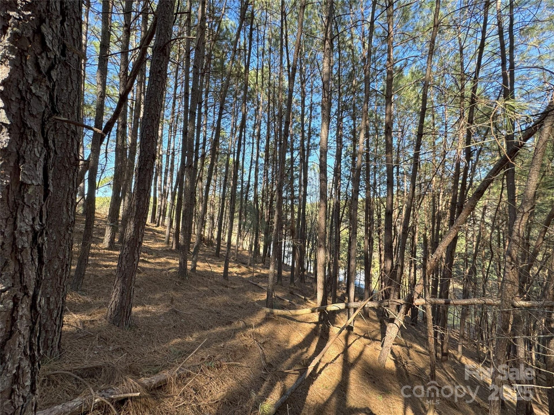Property image 3 at 5582 Bridgewater Drive, Granite Falls, NC 28638