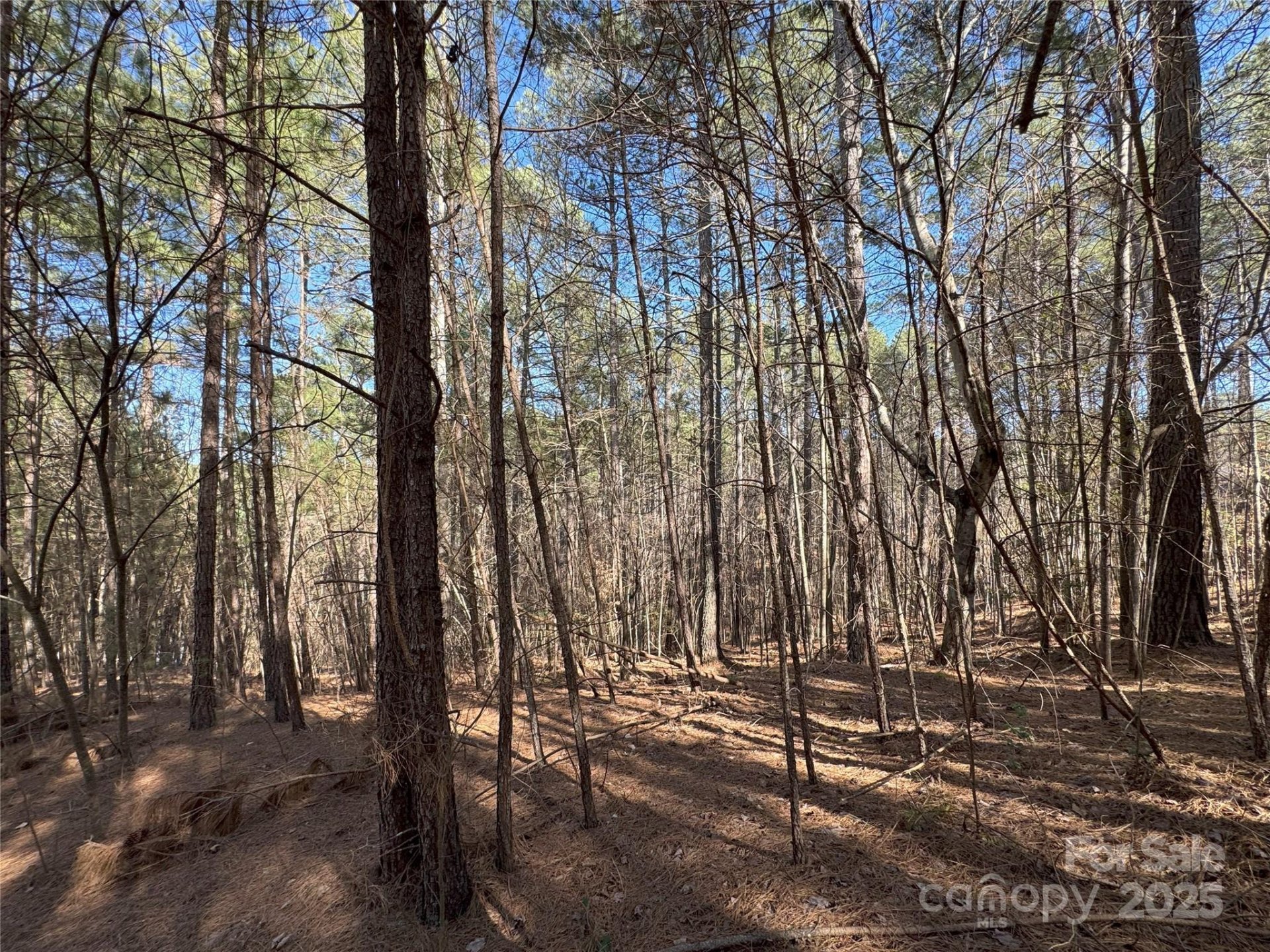 Property image 4 at 5582 Bridgewater Drive, Granite Falls, NC 28638