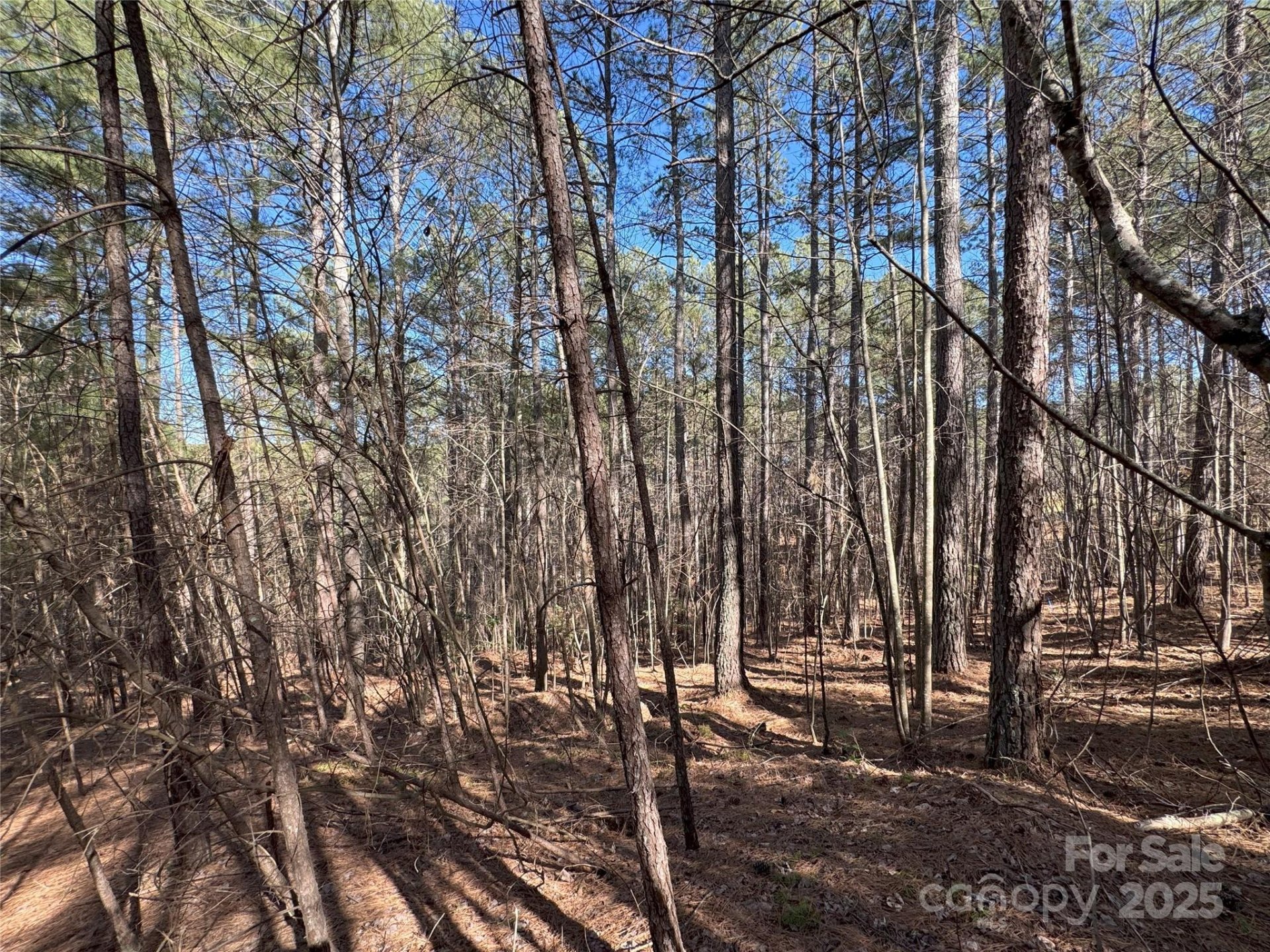 Property image 5 at 5582 Bridgewater Drive, Granite Falls, NC 28638