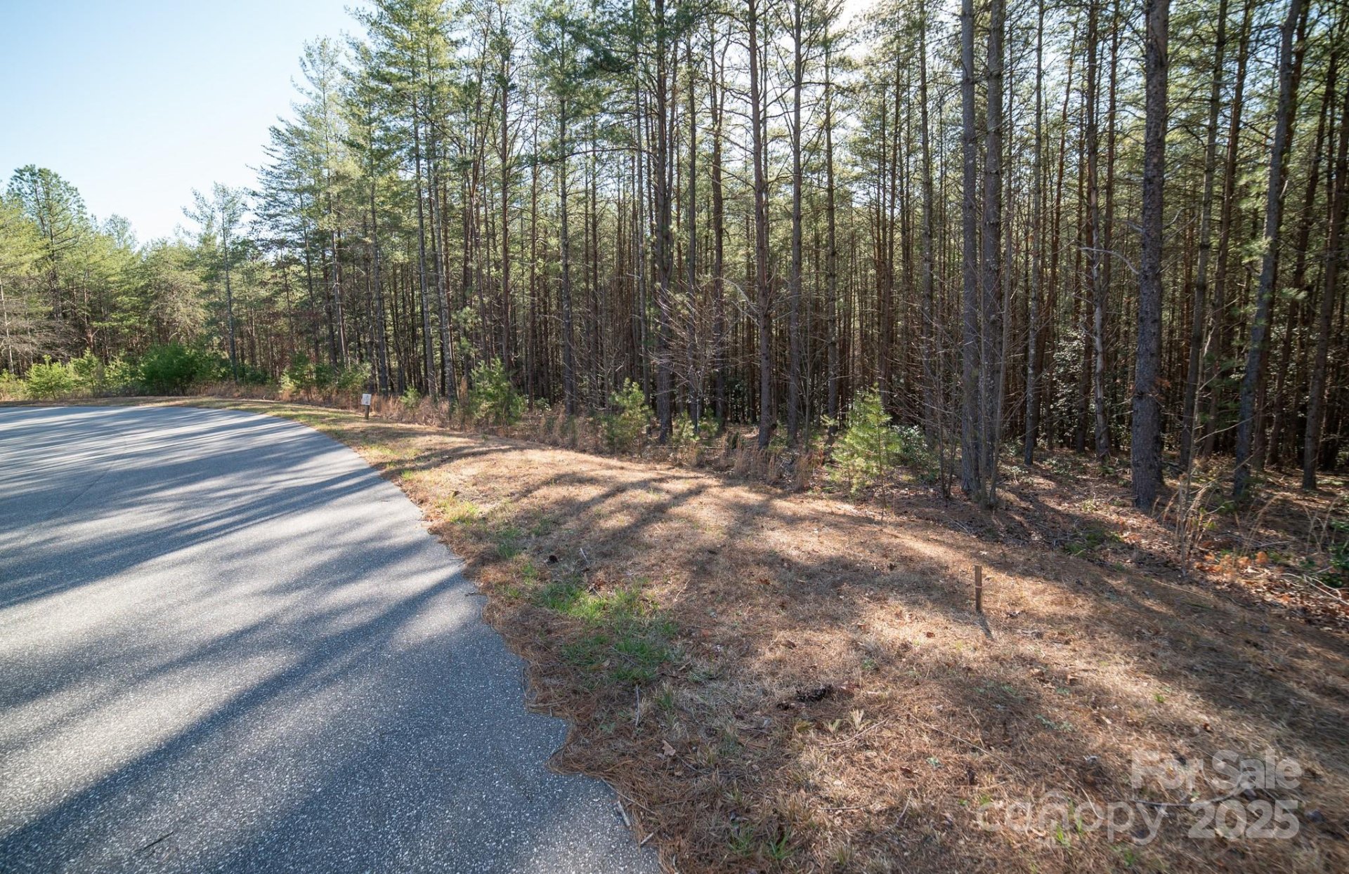 Property image 5 at 3426 Ella Marie Way, Nebo, NC 28761