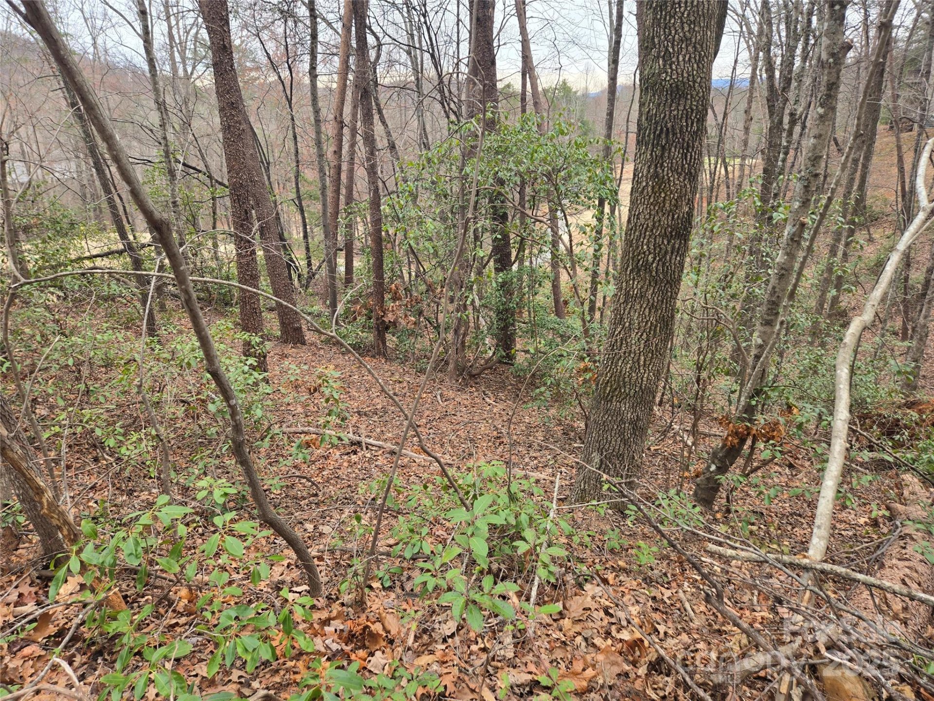 Property image 4 at Lot 28 Roundabout Road, Lake Lure, NC 28746