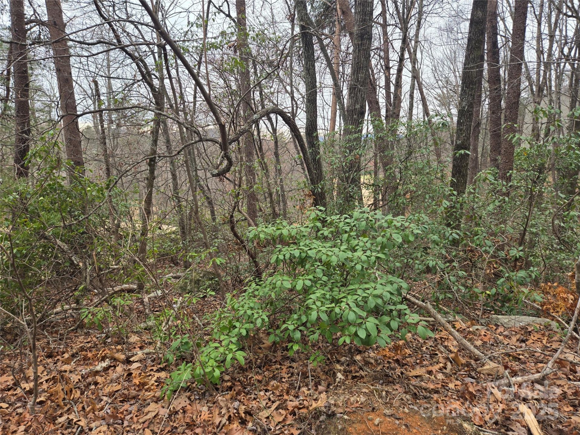 Property image 5 at Lot 28 Roundabout Road, Lake Lure, NC 28746