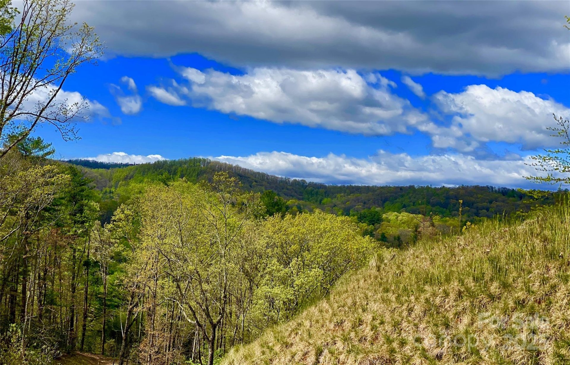 Property image 2 at 83 Curtain Bluff, Hendersonville, NC 28791