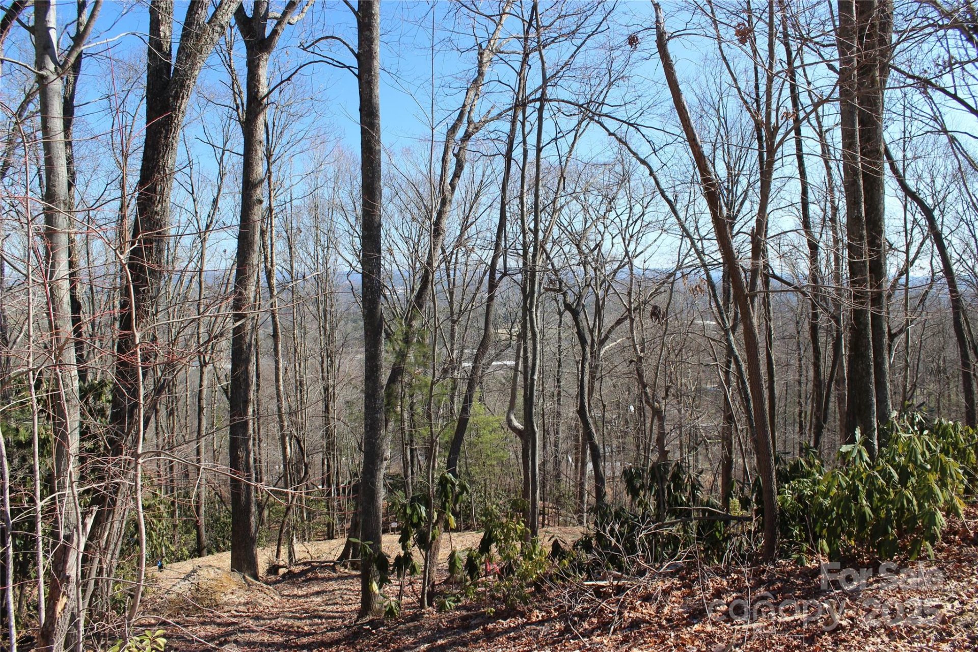 Property image 5 at 83 Curtain Bluff, Hendersonville, NC 28791