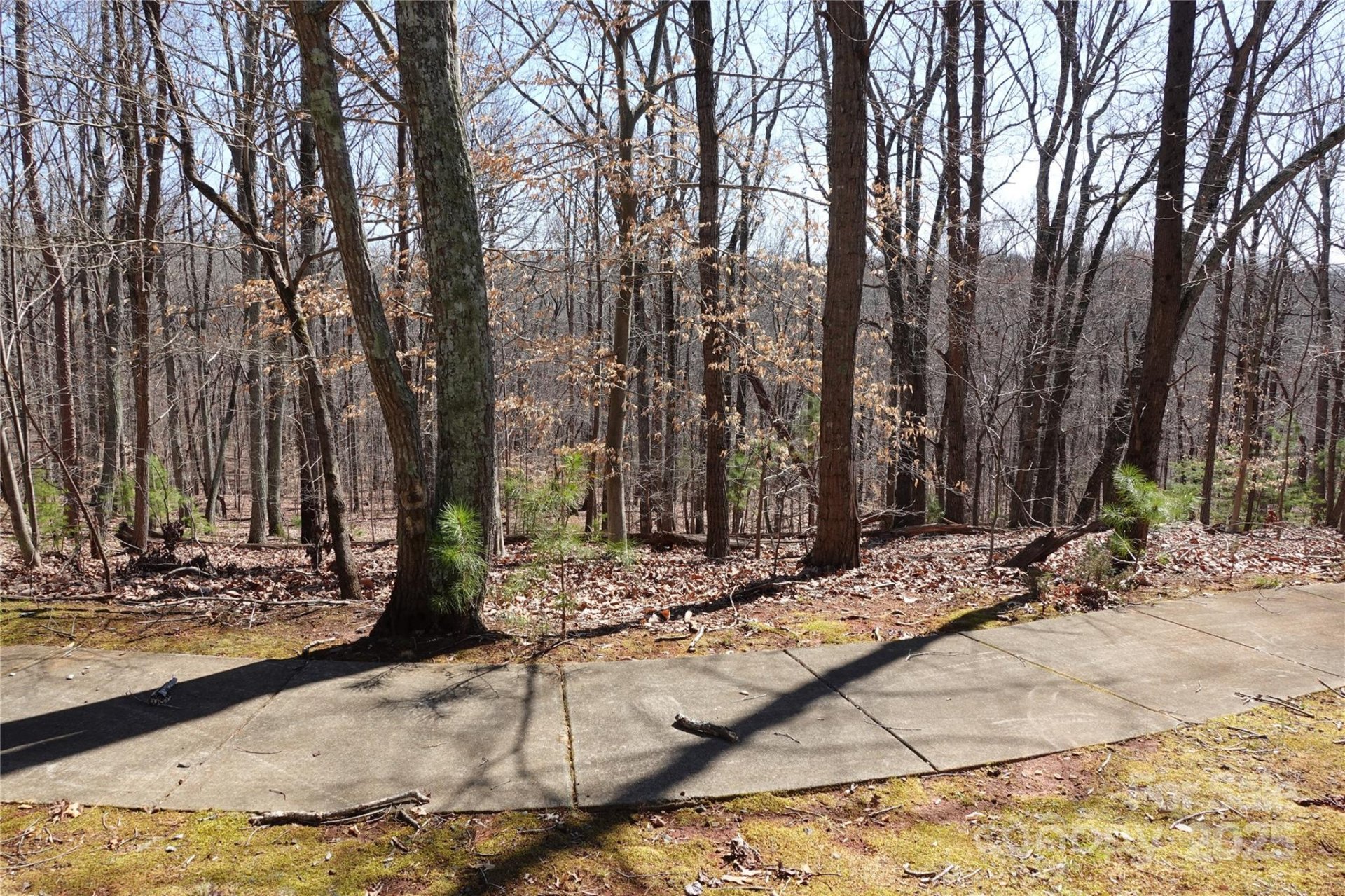 Property image 2 at 14427 Roe Buck Meadow Lane, Charlotte, NC 28278