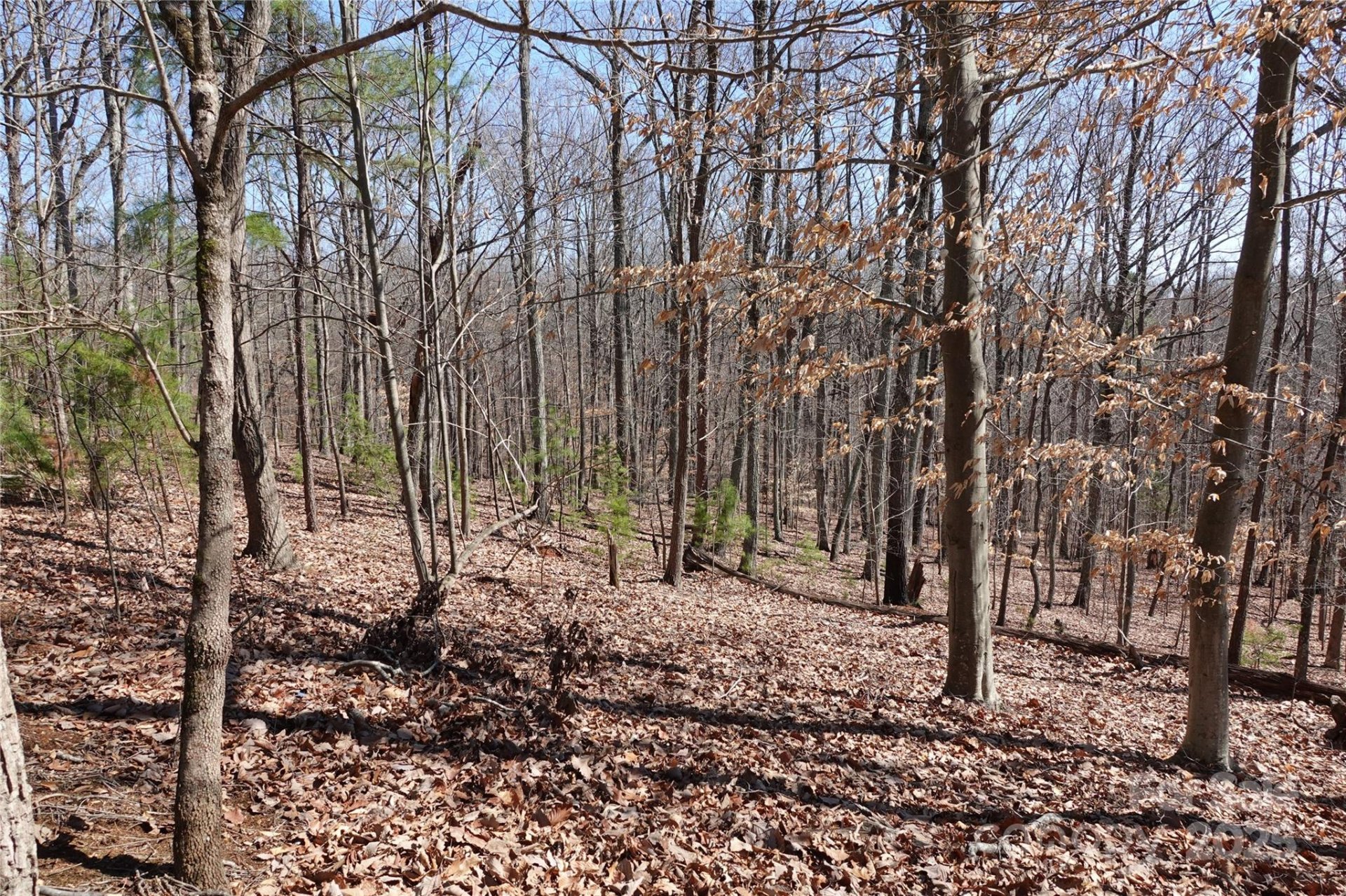 Property image 3 at 14427 Roe Buck Meadow Lane, Charlotte, NC 28278