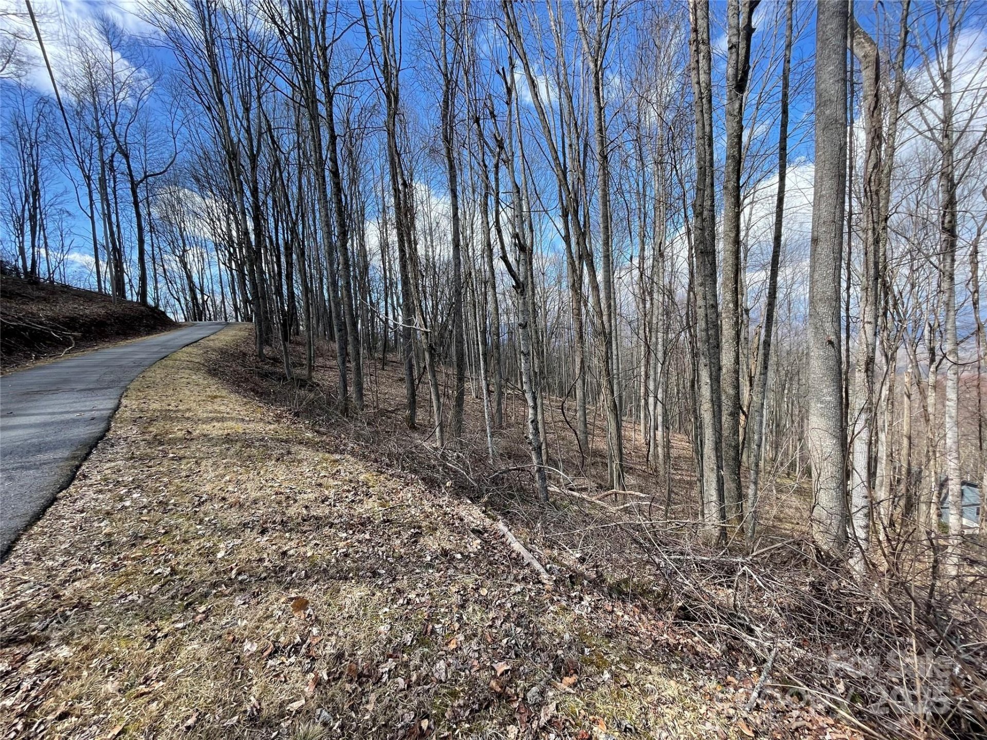 Property image 3 at 00 Old Country Road, Waynesville, NC 28786